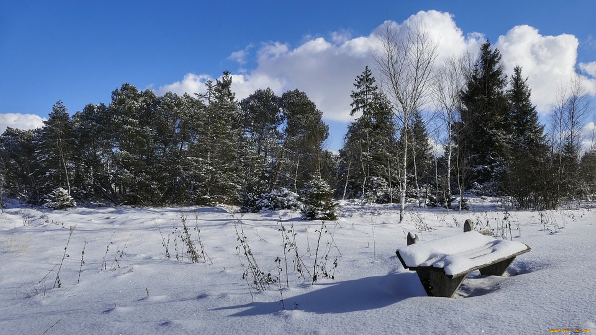 природа, зима