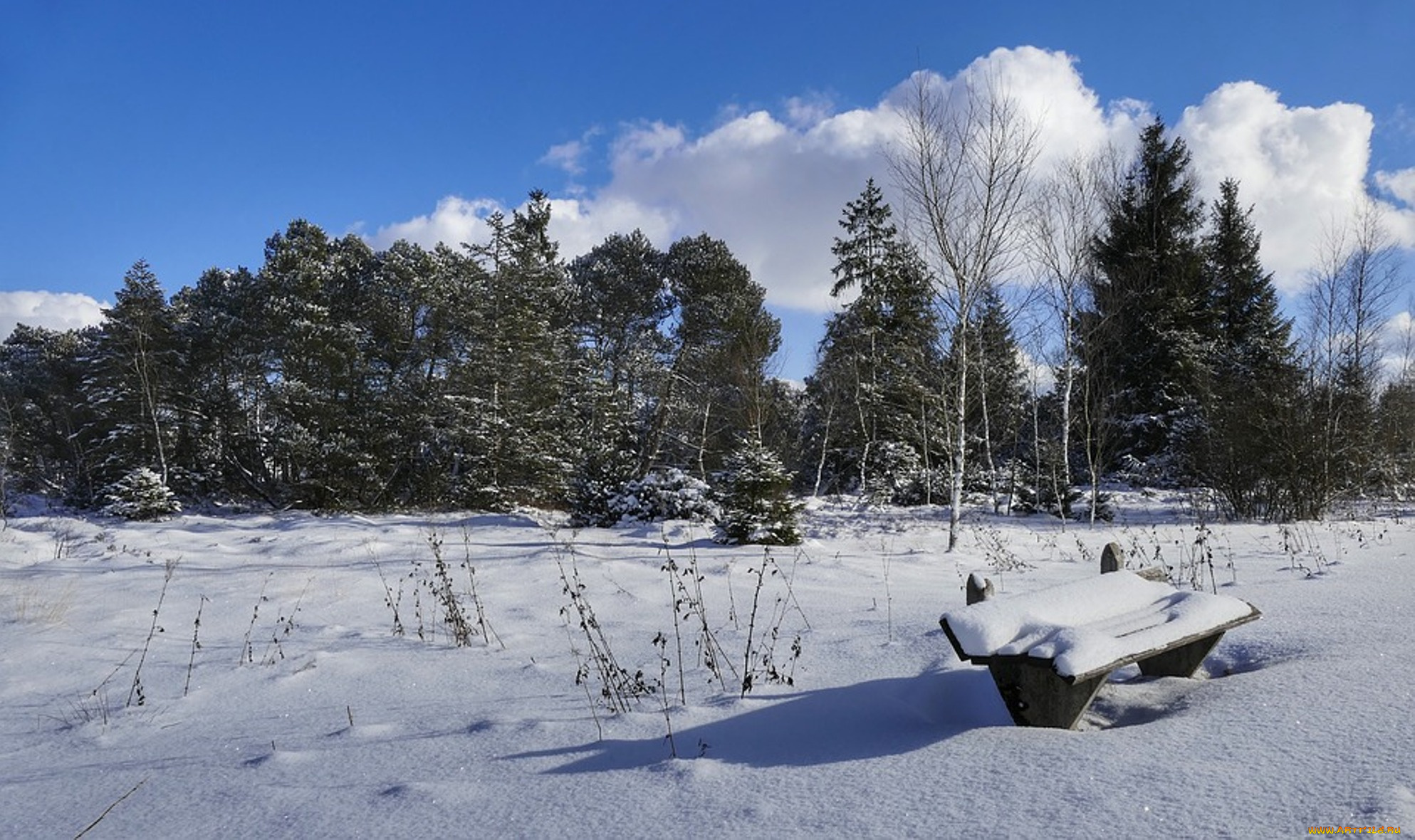 природа, зима