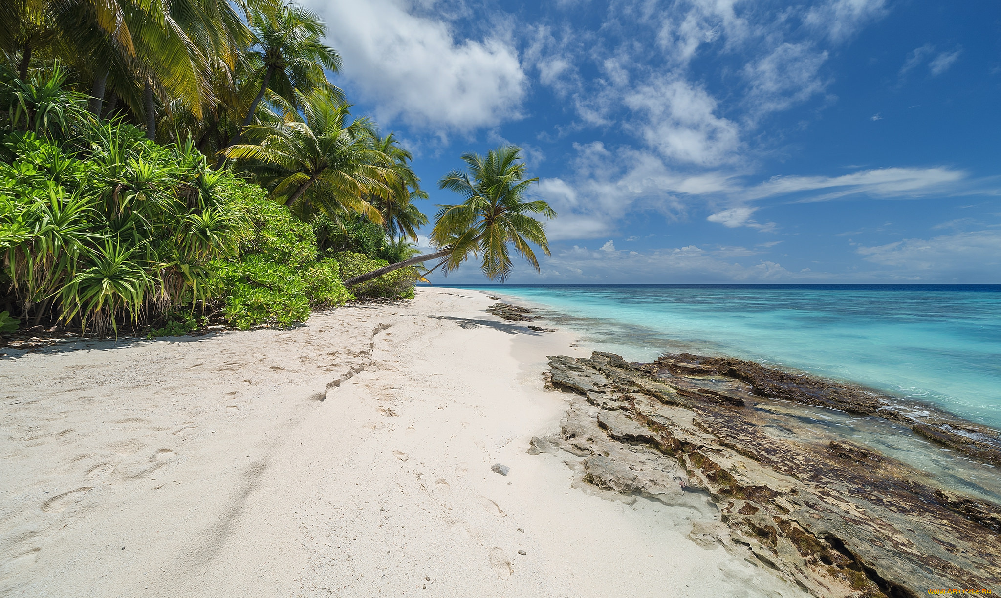 природа, тропики, простор