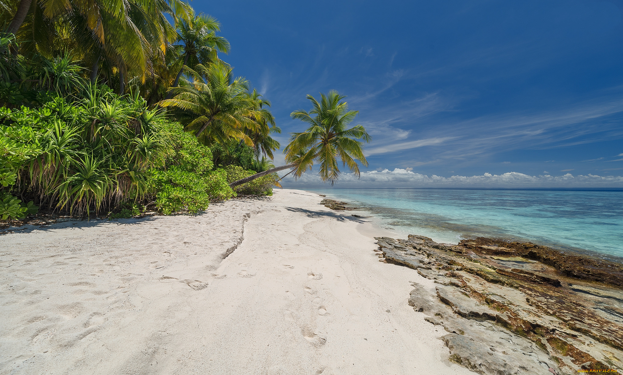 природа, тропики, простор