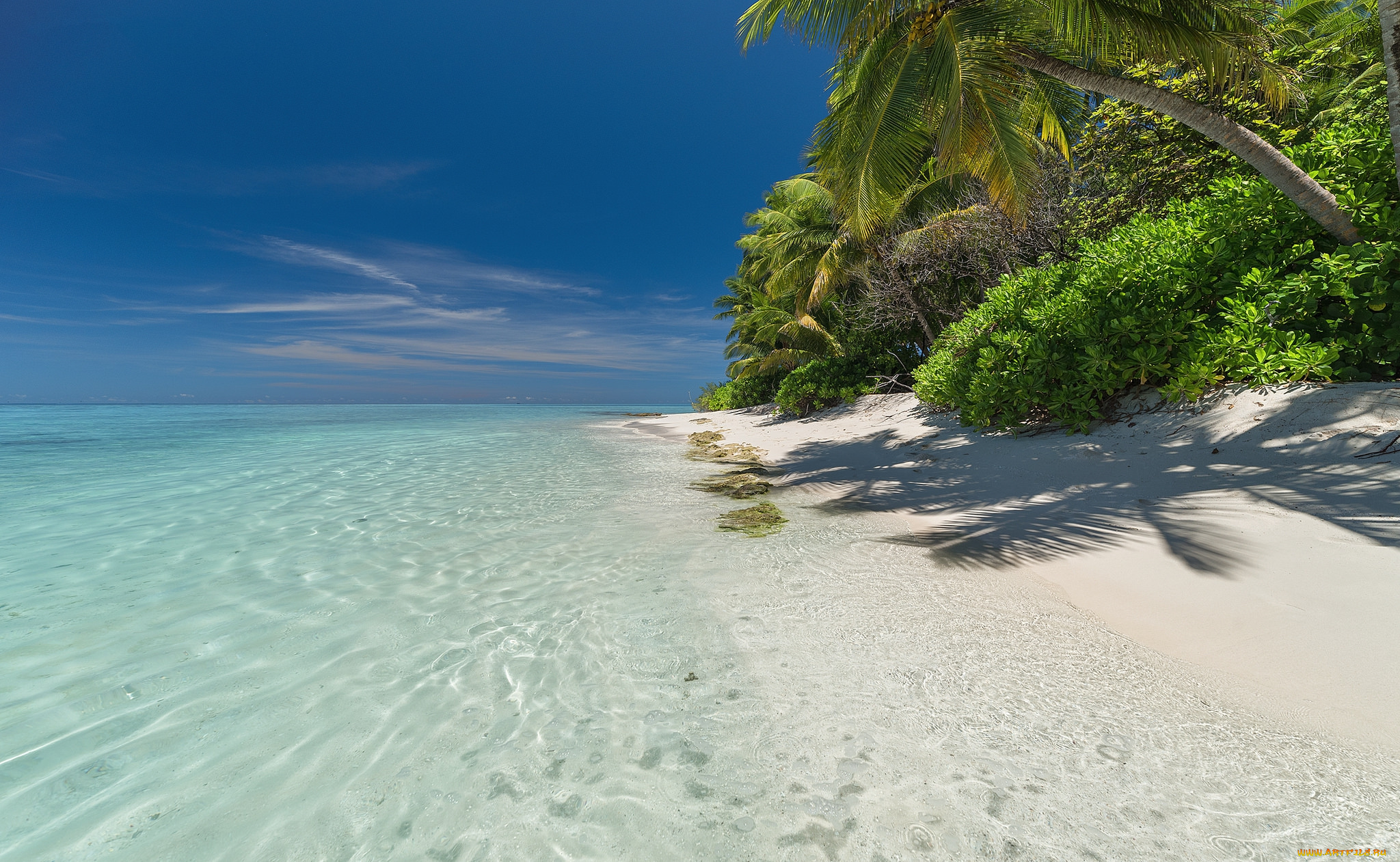 природа, тропики, простор