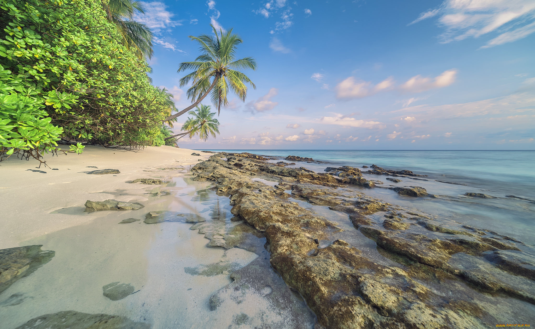 природа, тропики, простор