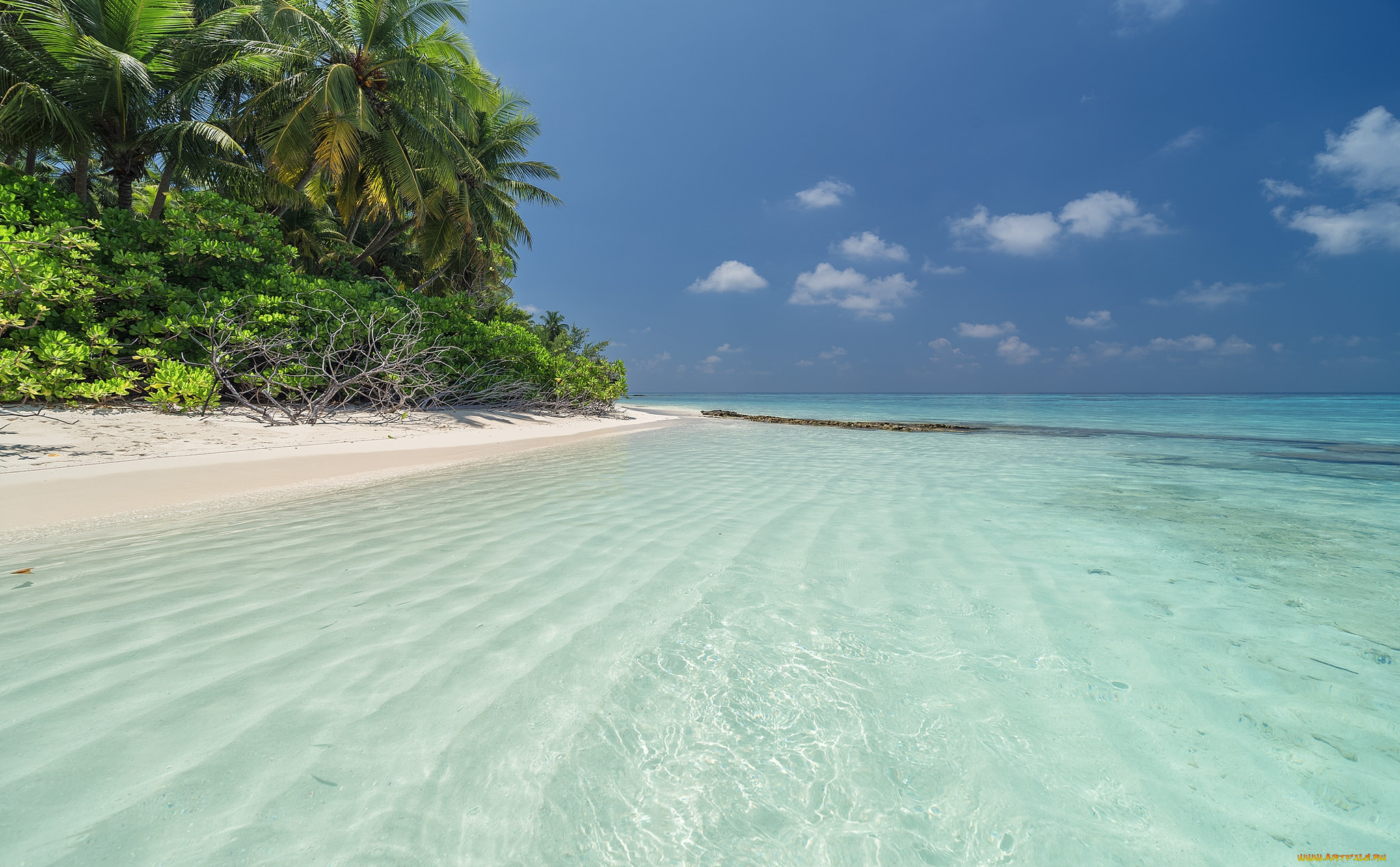 природа, тропики, простор