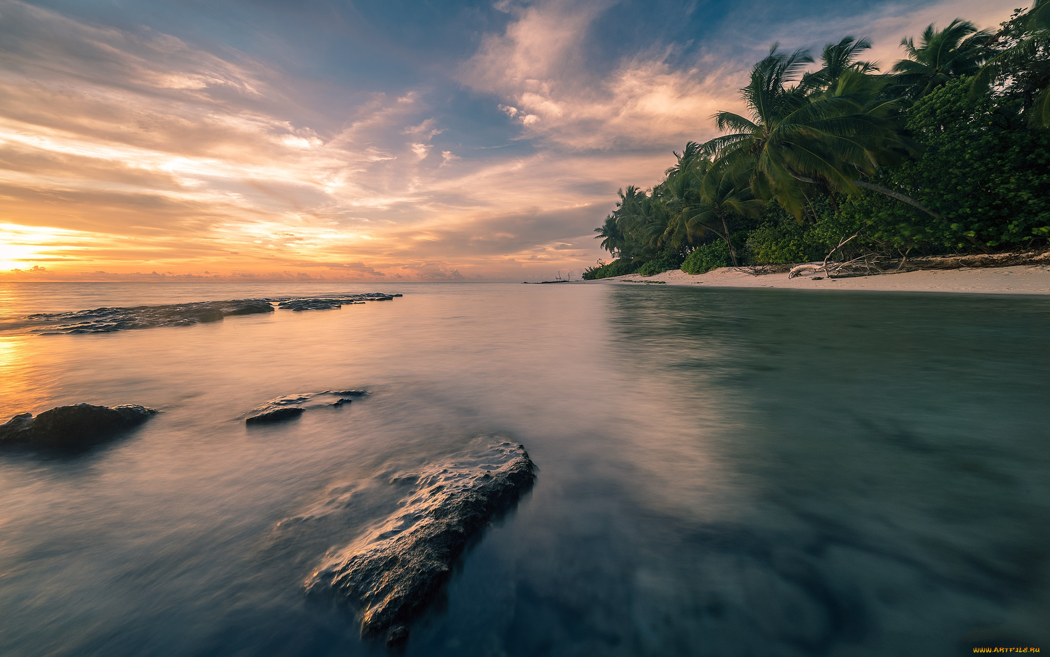 природа, тропики, простор