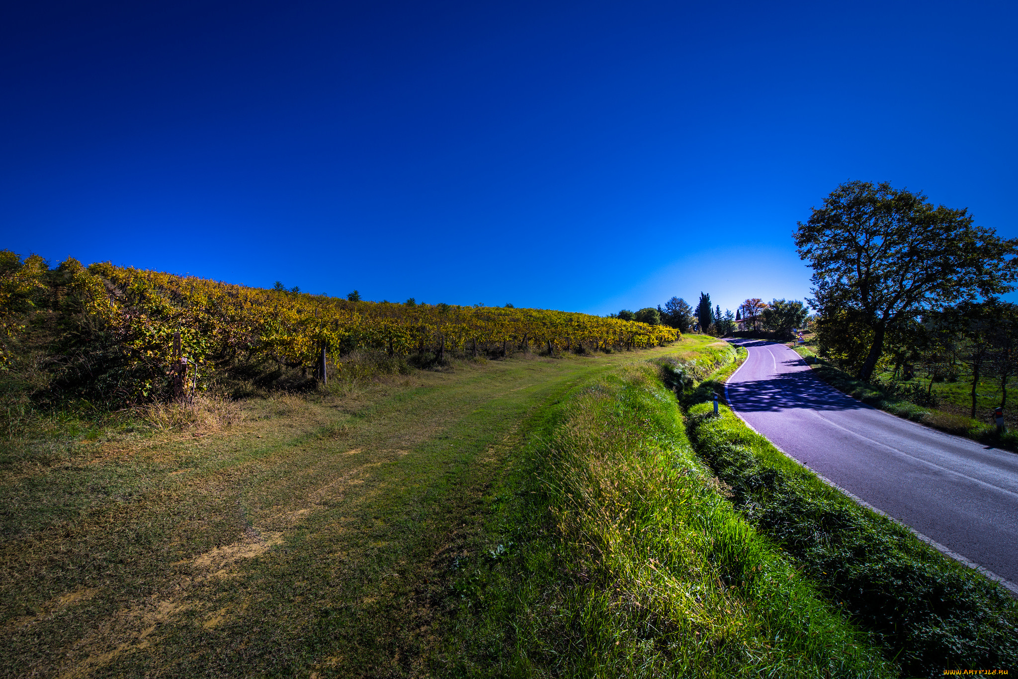 природа, дороги, простор