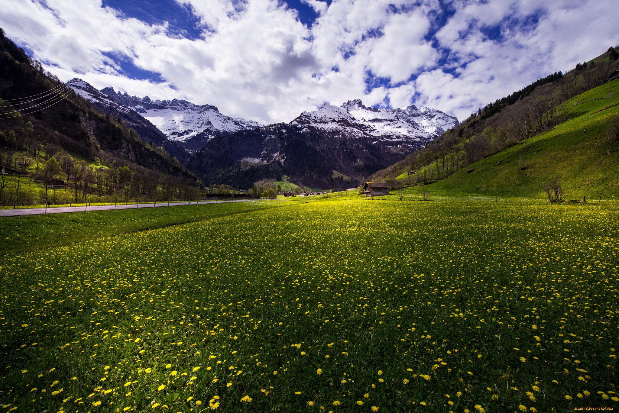 природа, луга, простор