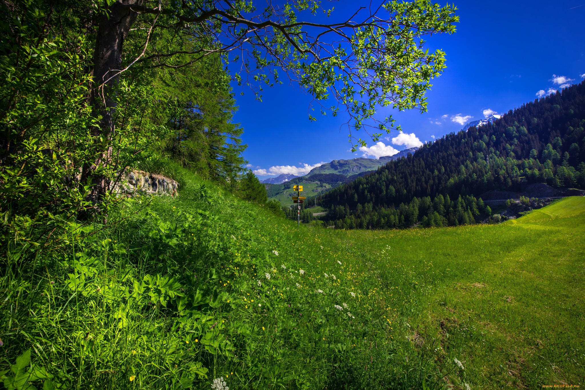 природа, пейзажи, простор