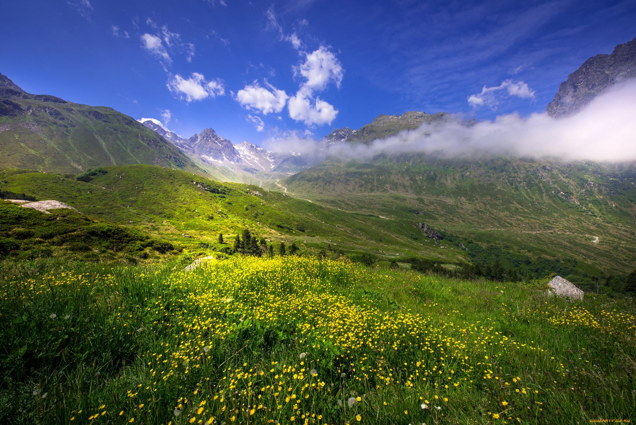 природа, пейзажи, простор