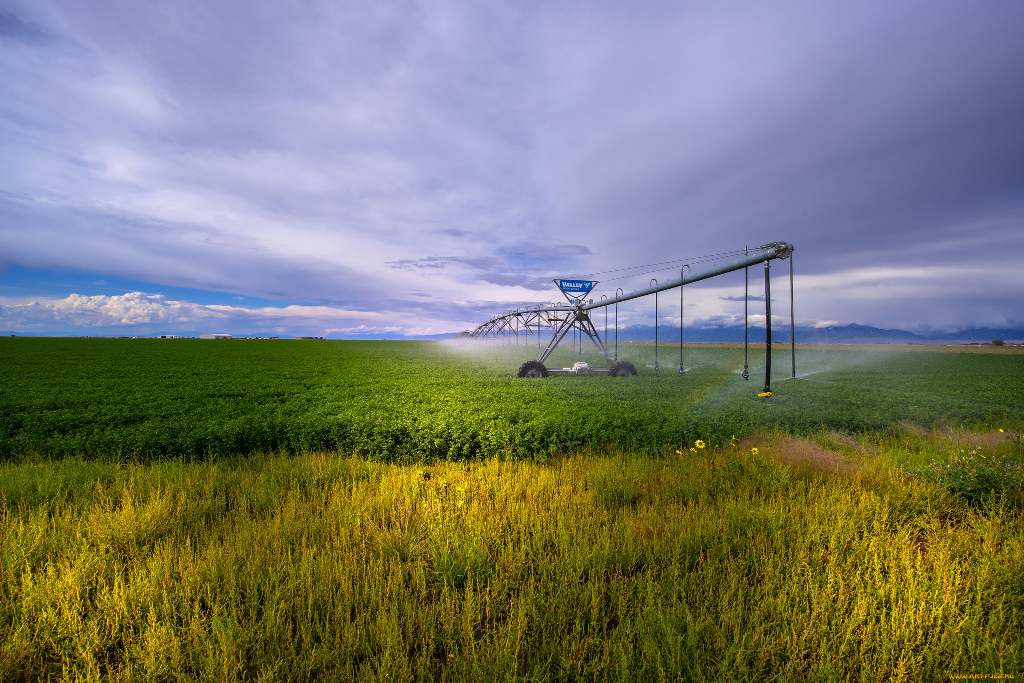 природа, поля, простор