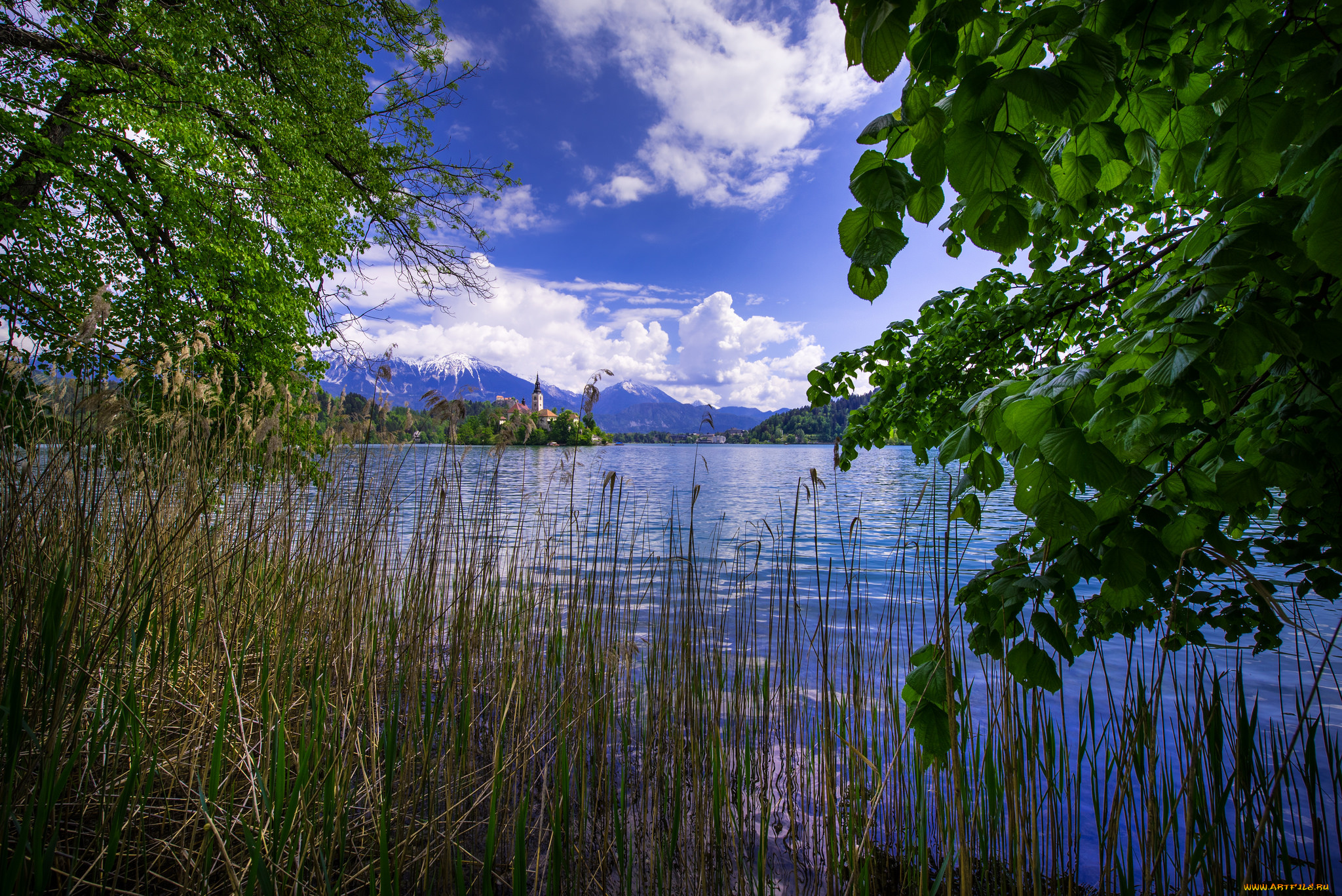 природа, реки, озера, простор