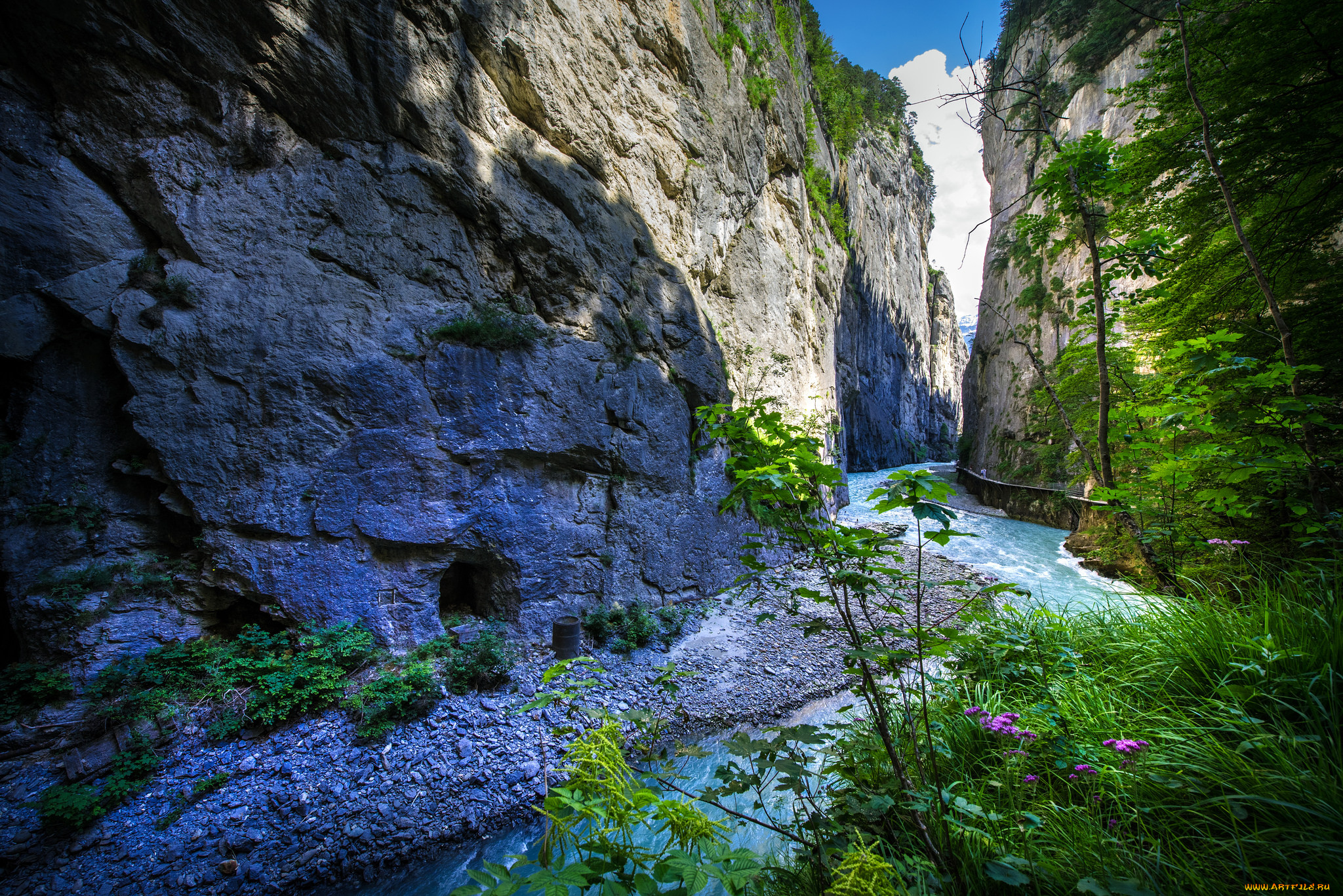 природа, реки, озера, простор