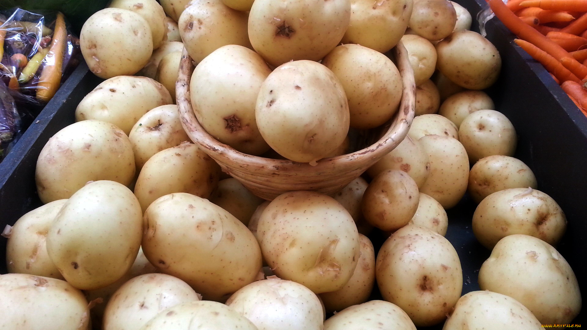 еда, картофель, молодой, клубни