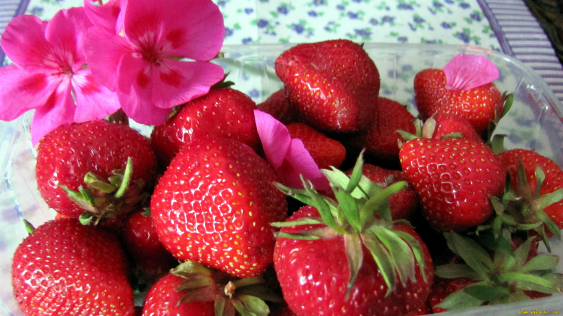 еда, клубника, , земляника