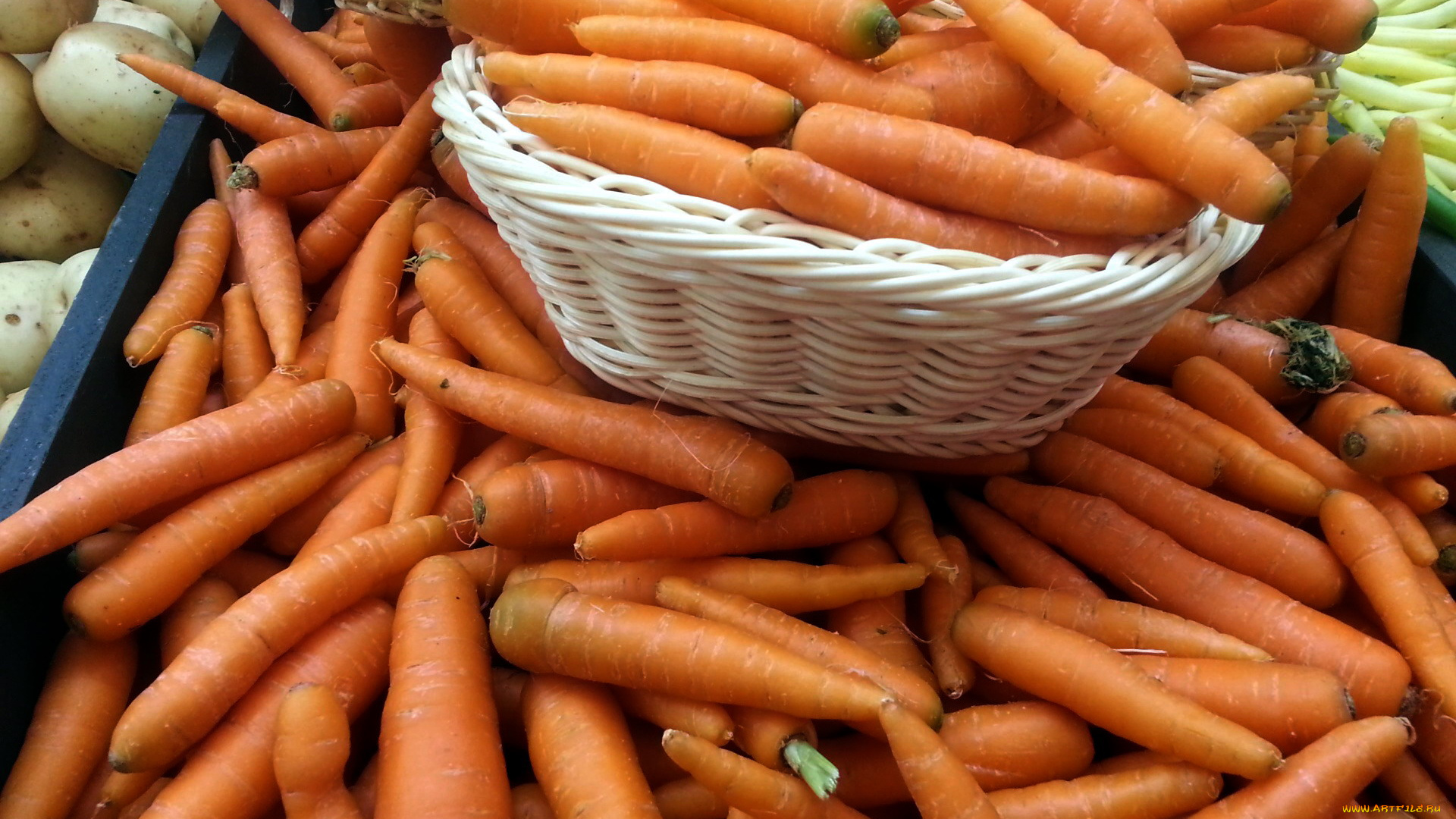 еда, морковь, урожай