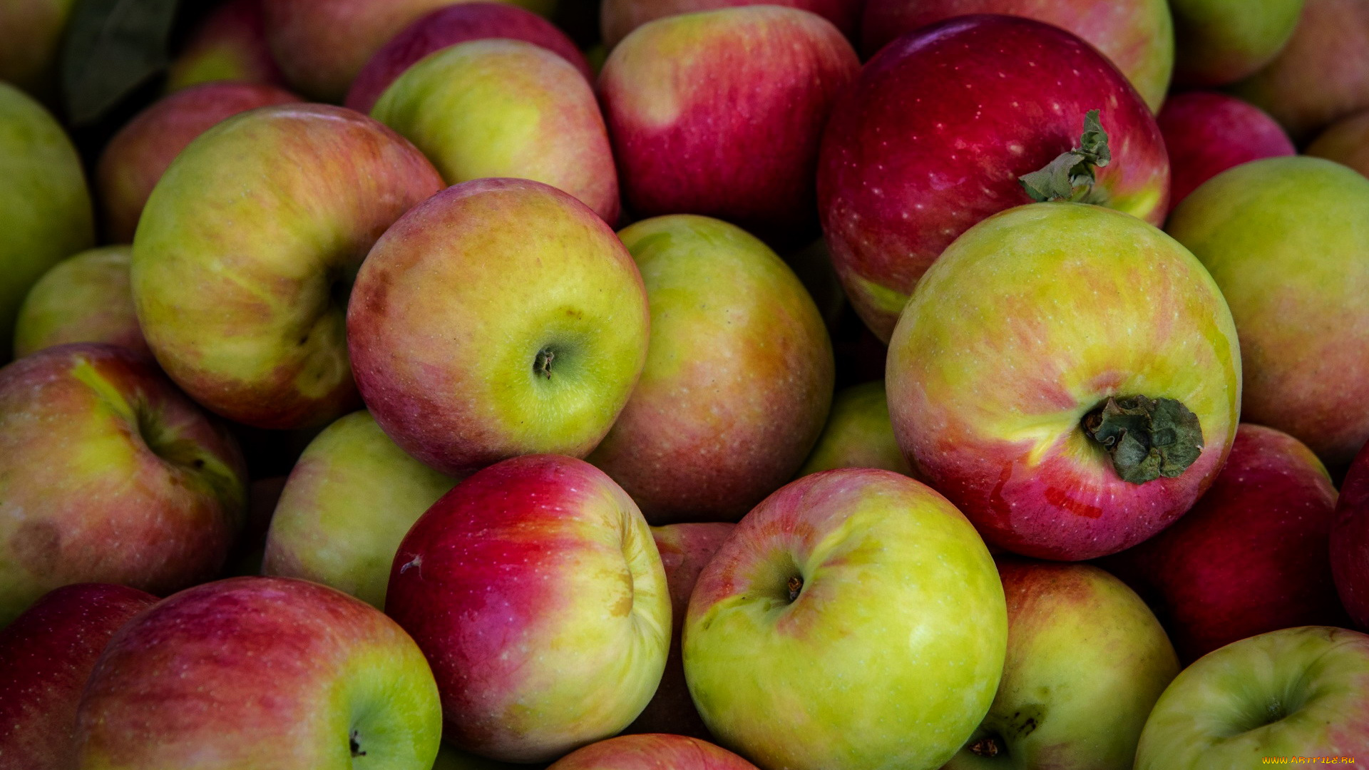 еда, яблоки