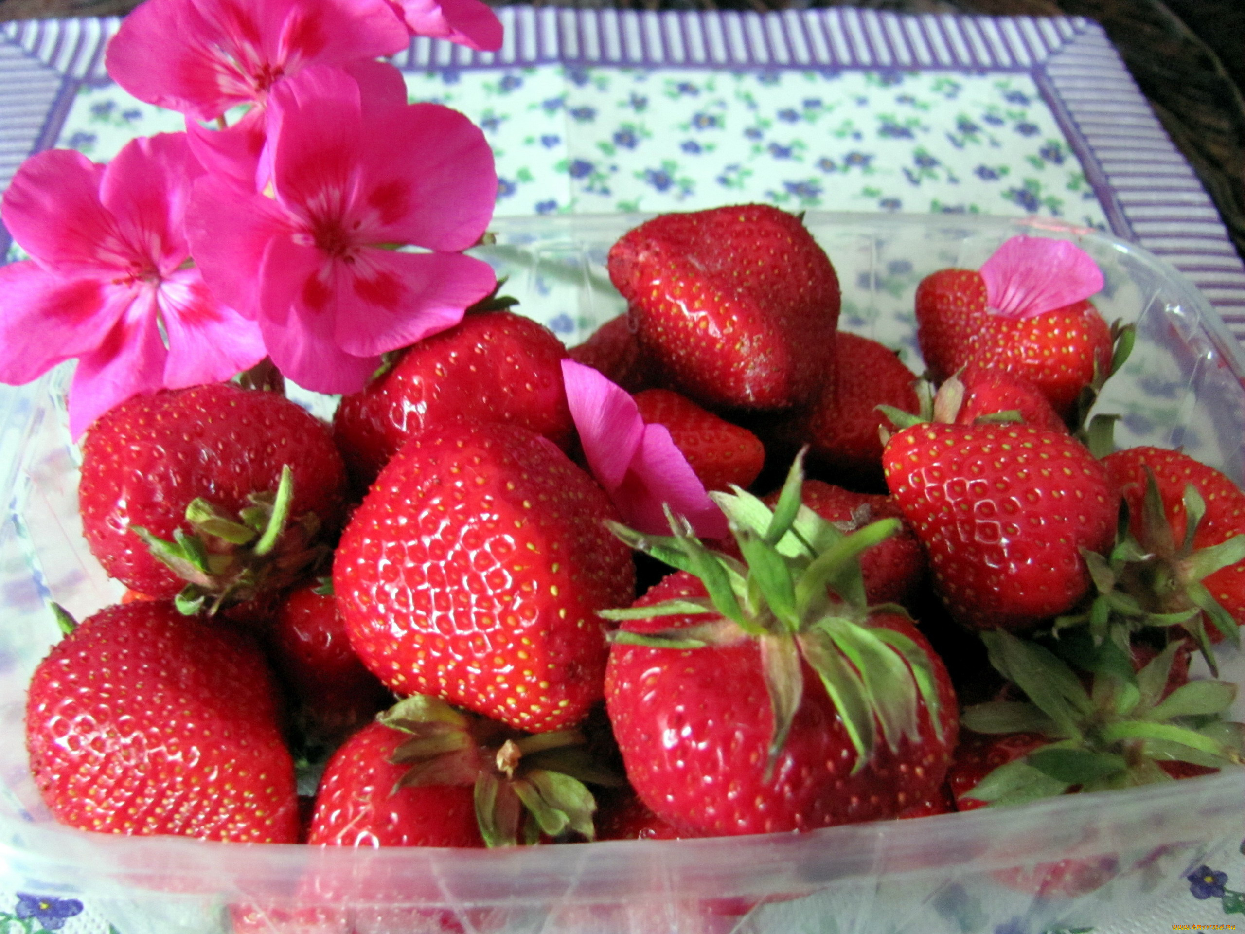 еда, клубника, , земляника