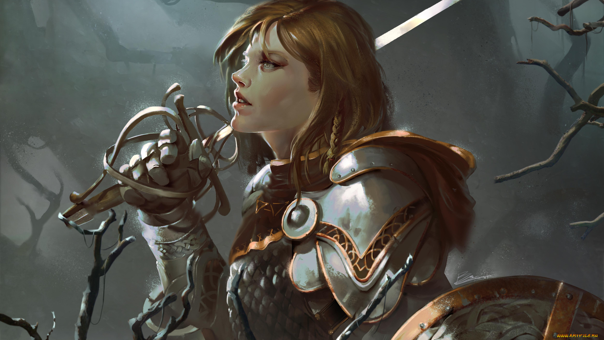 фэнтези, девушки, девушка, фон, латы, щит, шпага