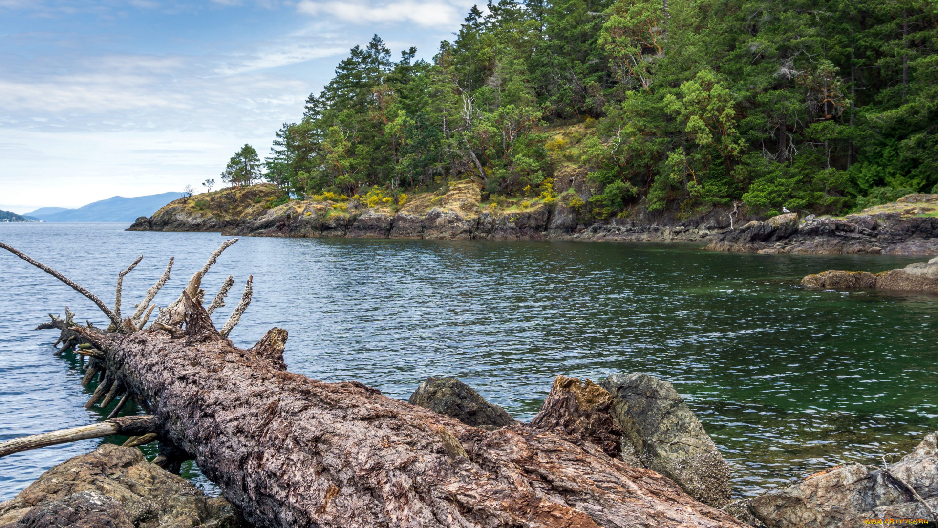 природа, реки, озера, река