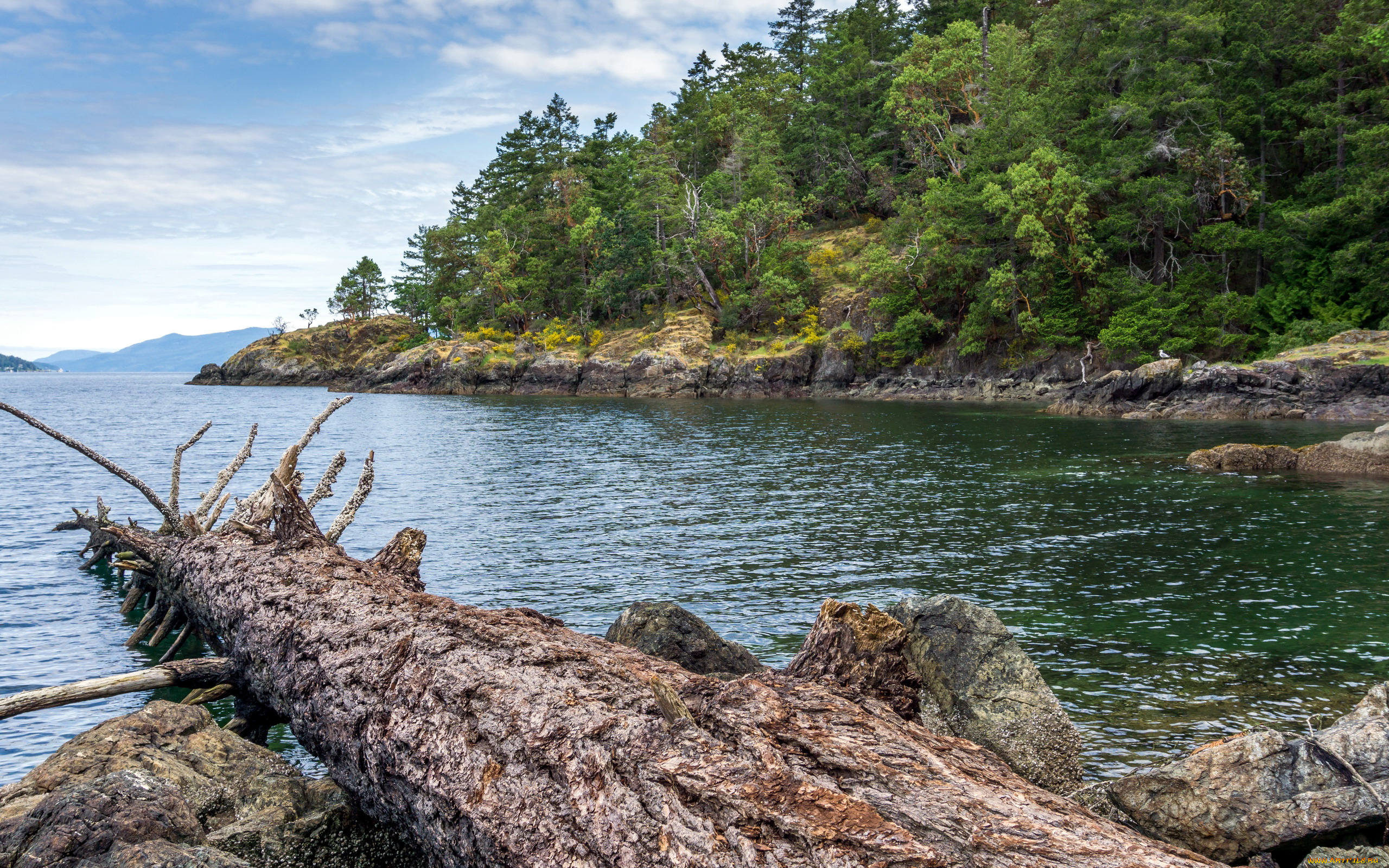 природа, реки, озера, река