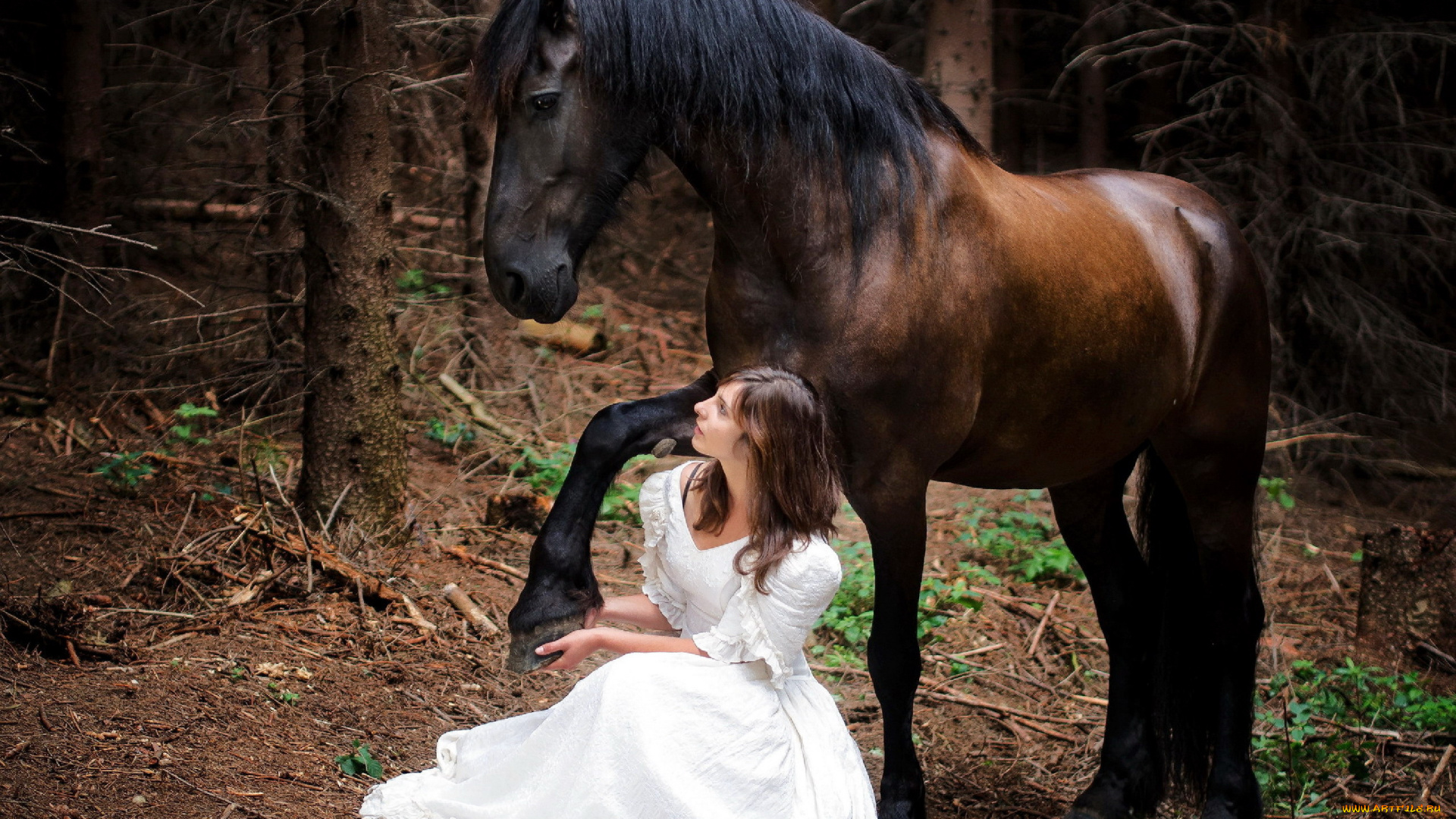 девушки, -, брюнетки, , шатенки, брюнетка, белое, платье, лошадь, поза