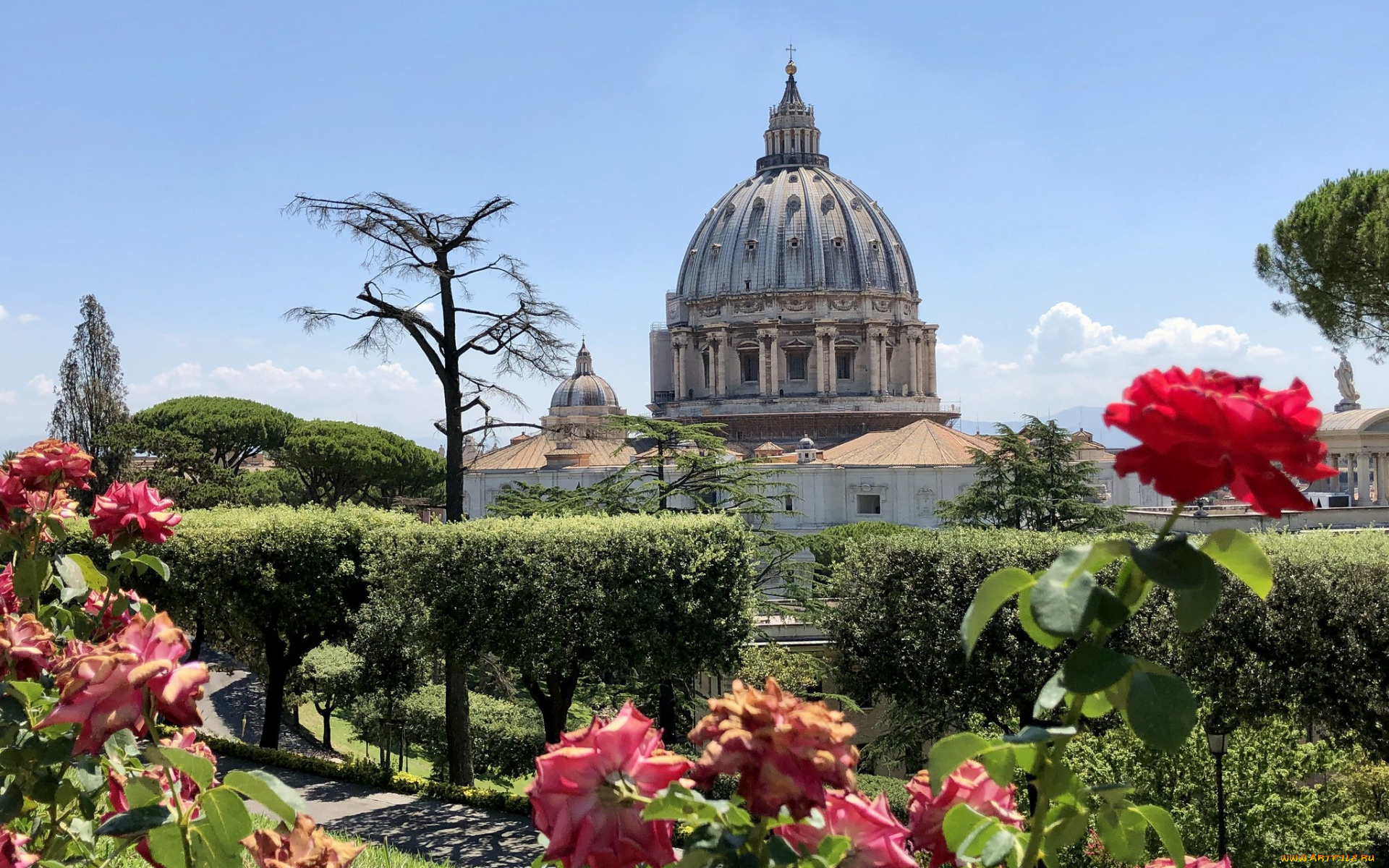 basilica, sancti, petri, vatican, gardens, vatican, city, города, рим, , ватикан, , италия, basilica, sancti, petri, vatican, gardens, city