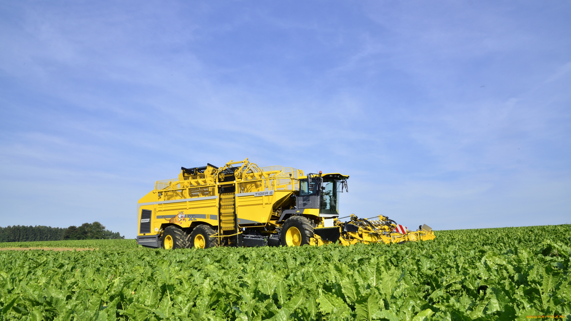 техника, комбайны, ropa