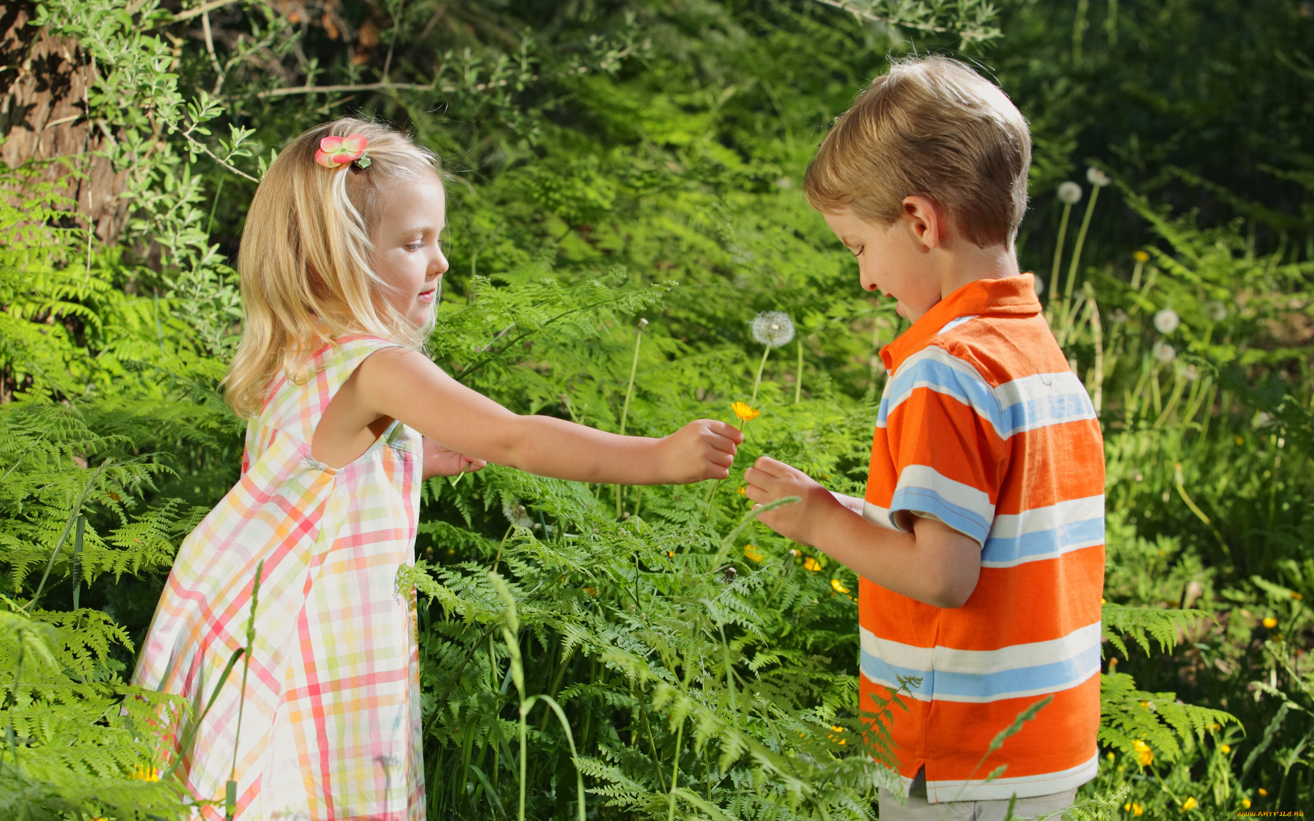 разное, люди, девочка, мальчик, одуванчик