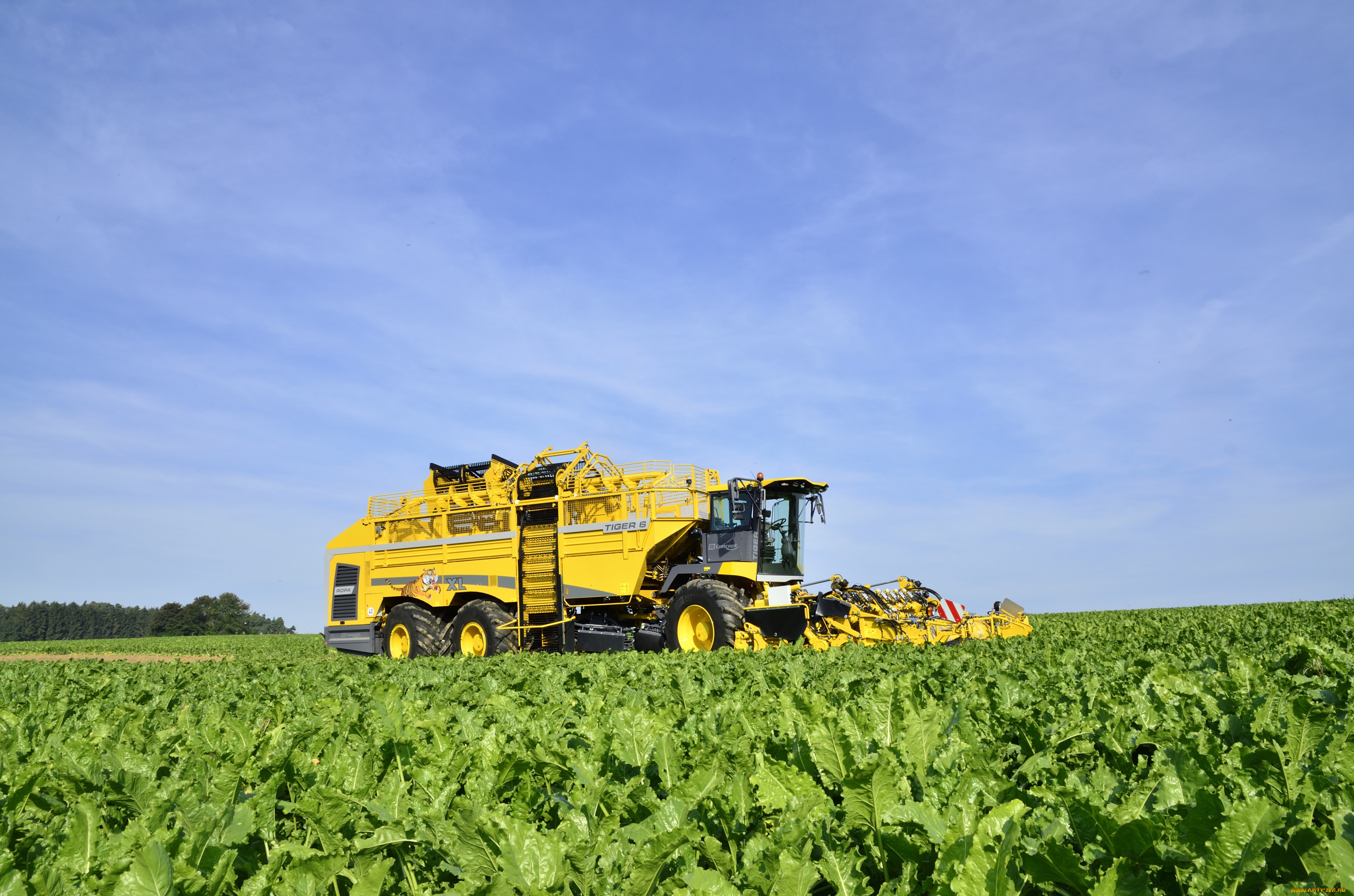 техника, комбайны, ropa