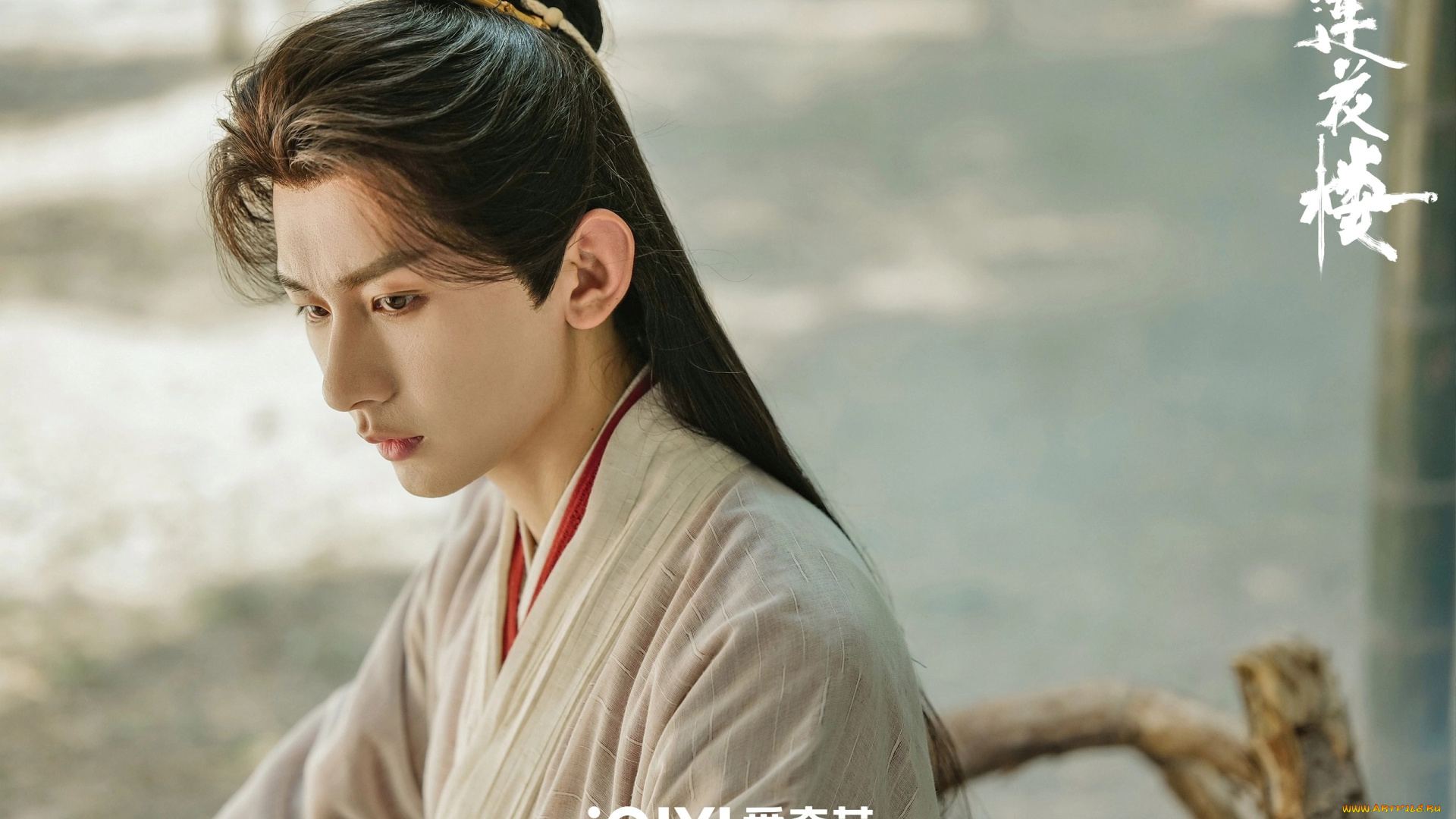 кино, фильмы, mysterious, lotus, casebook, башня, лотоса, с, благоприятными, узорами, лотосовый, терем, дело, mysterious, lotus, casebook, lian, hua, lou