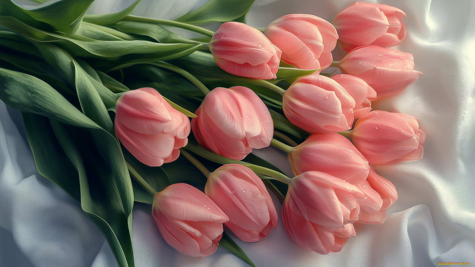 3д, графика, цветы, , flowers, тюльпаны