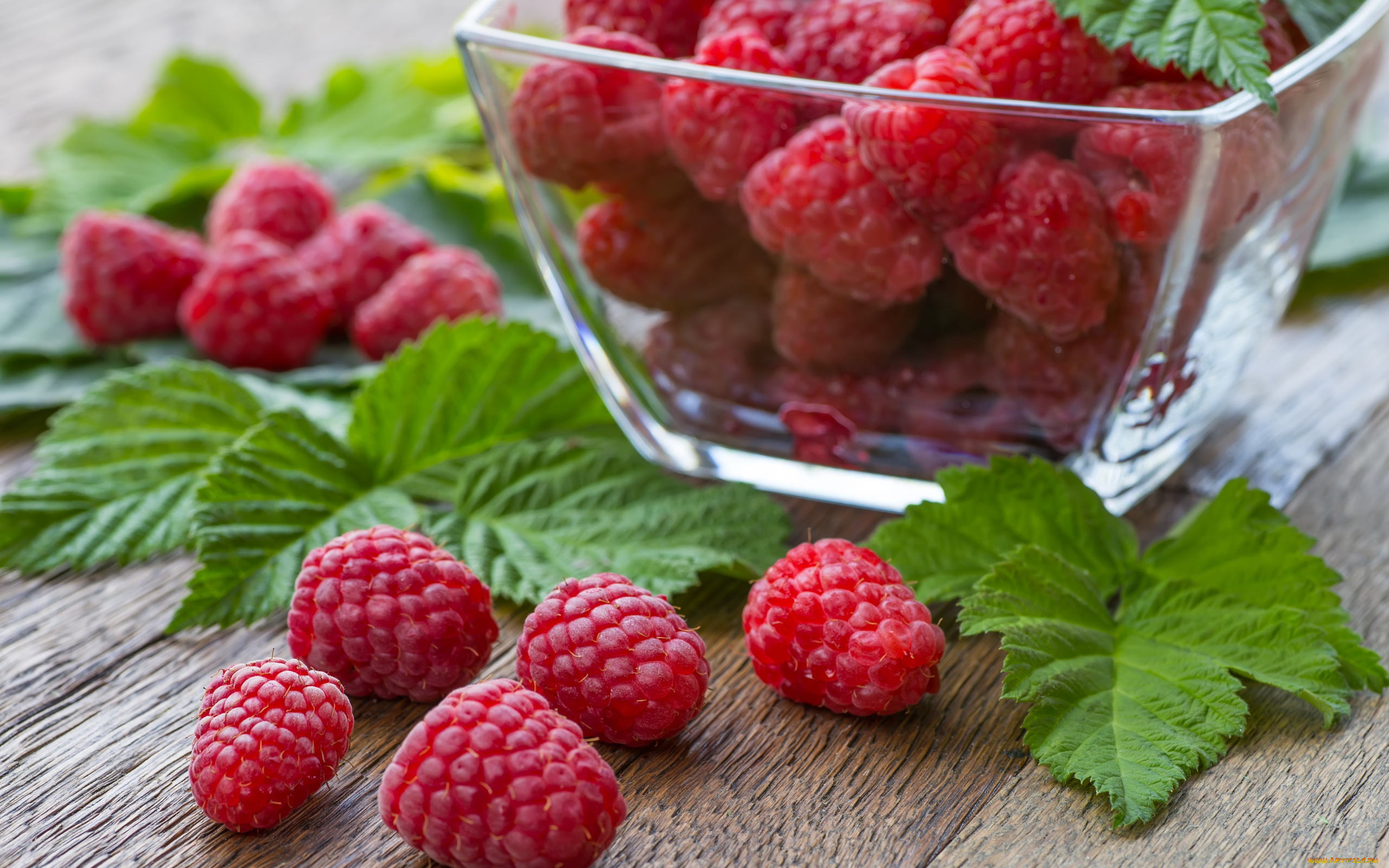 еда, малина, ягоды, спелая