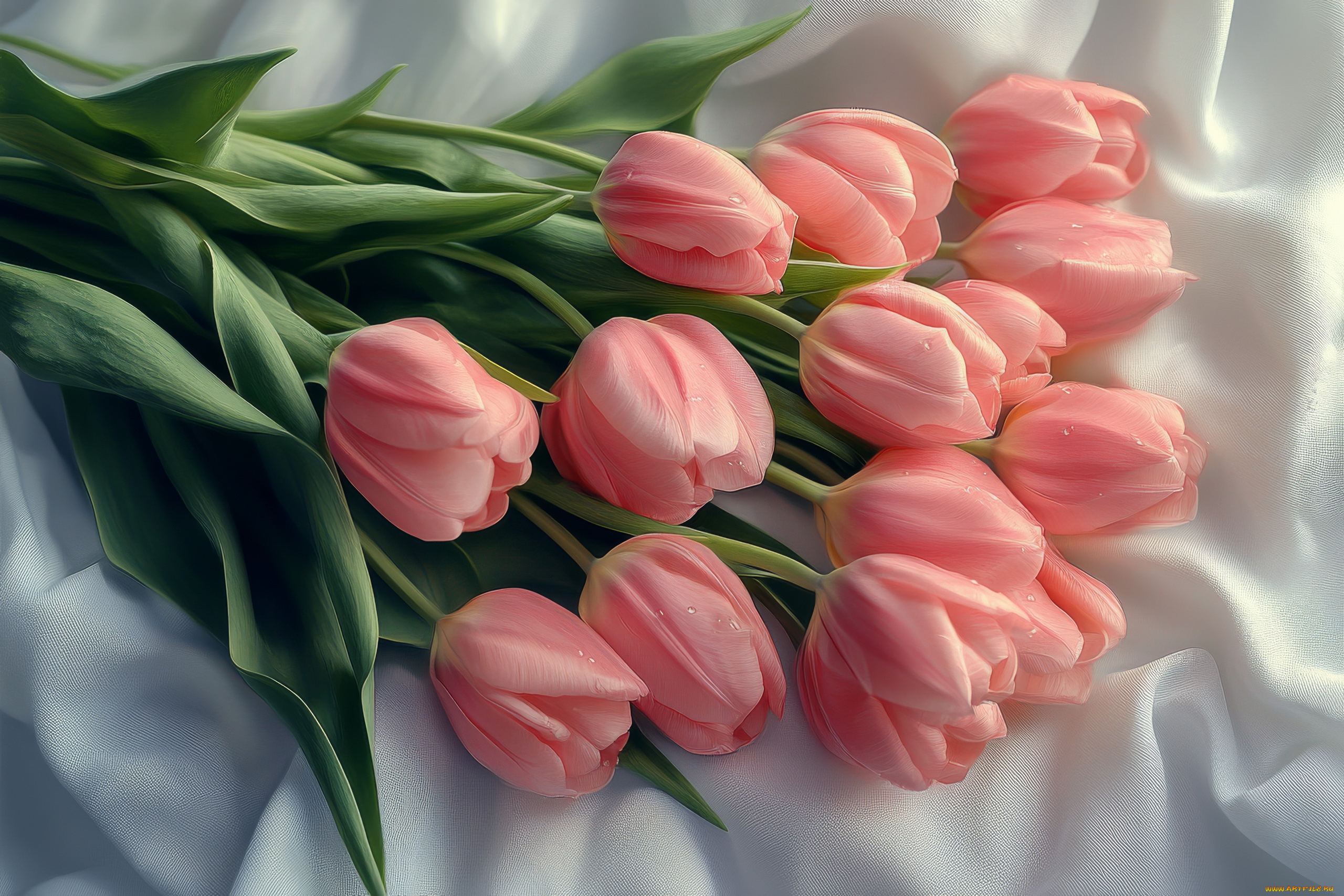 3д, графика, цветы, , flowers, тюльпаны