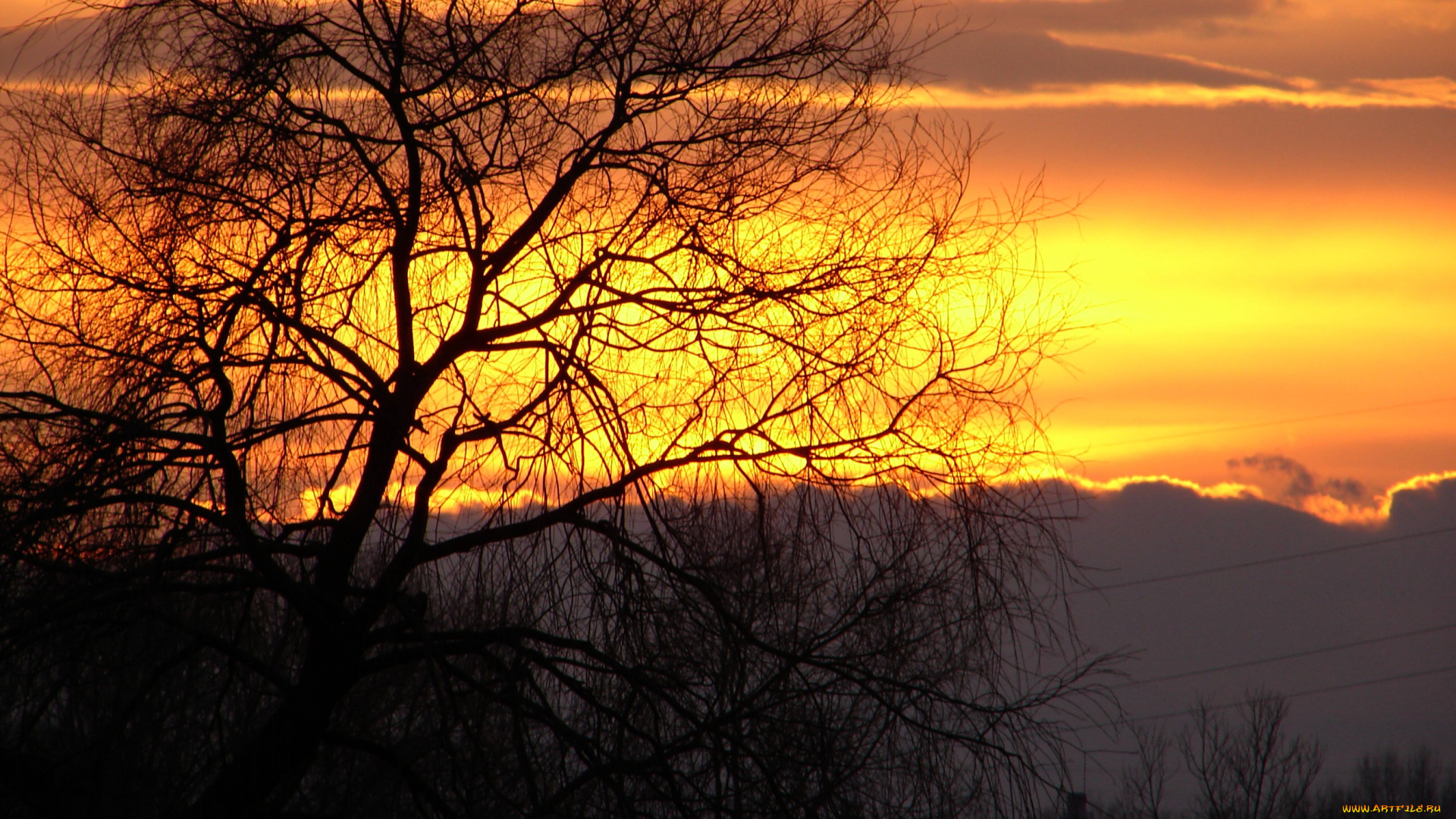 природа, восходы, закаты