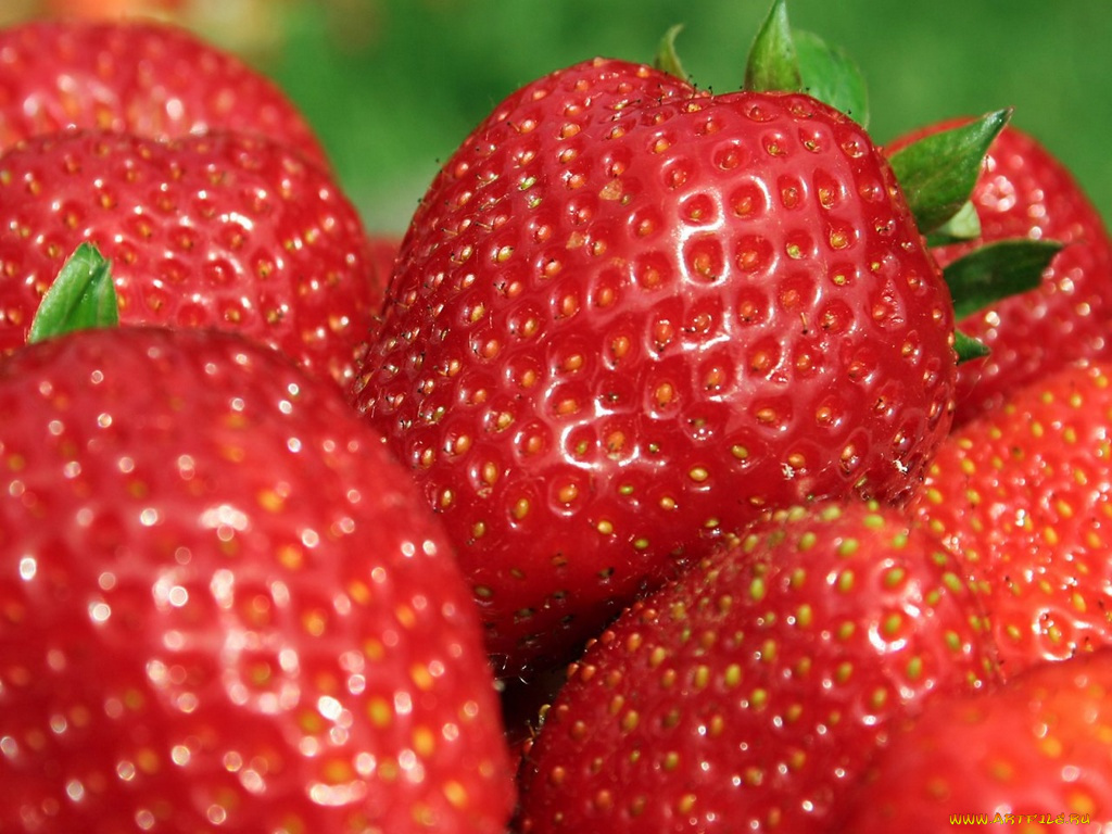 еда, клубника, земляника