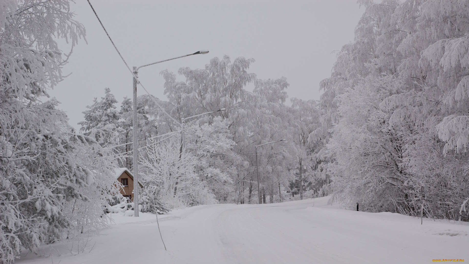 природа, зима