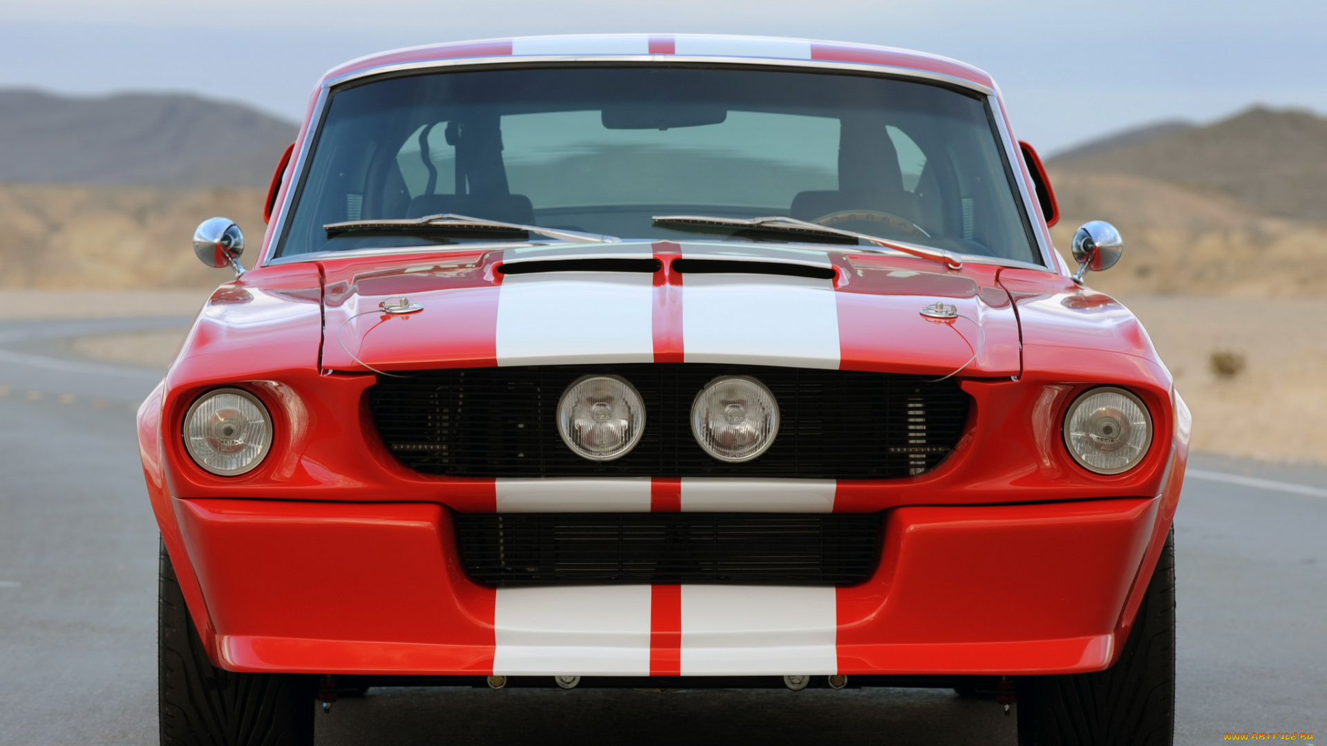 shelby, gt500cr, автомобили, mustang