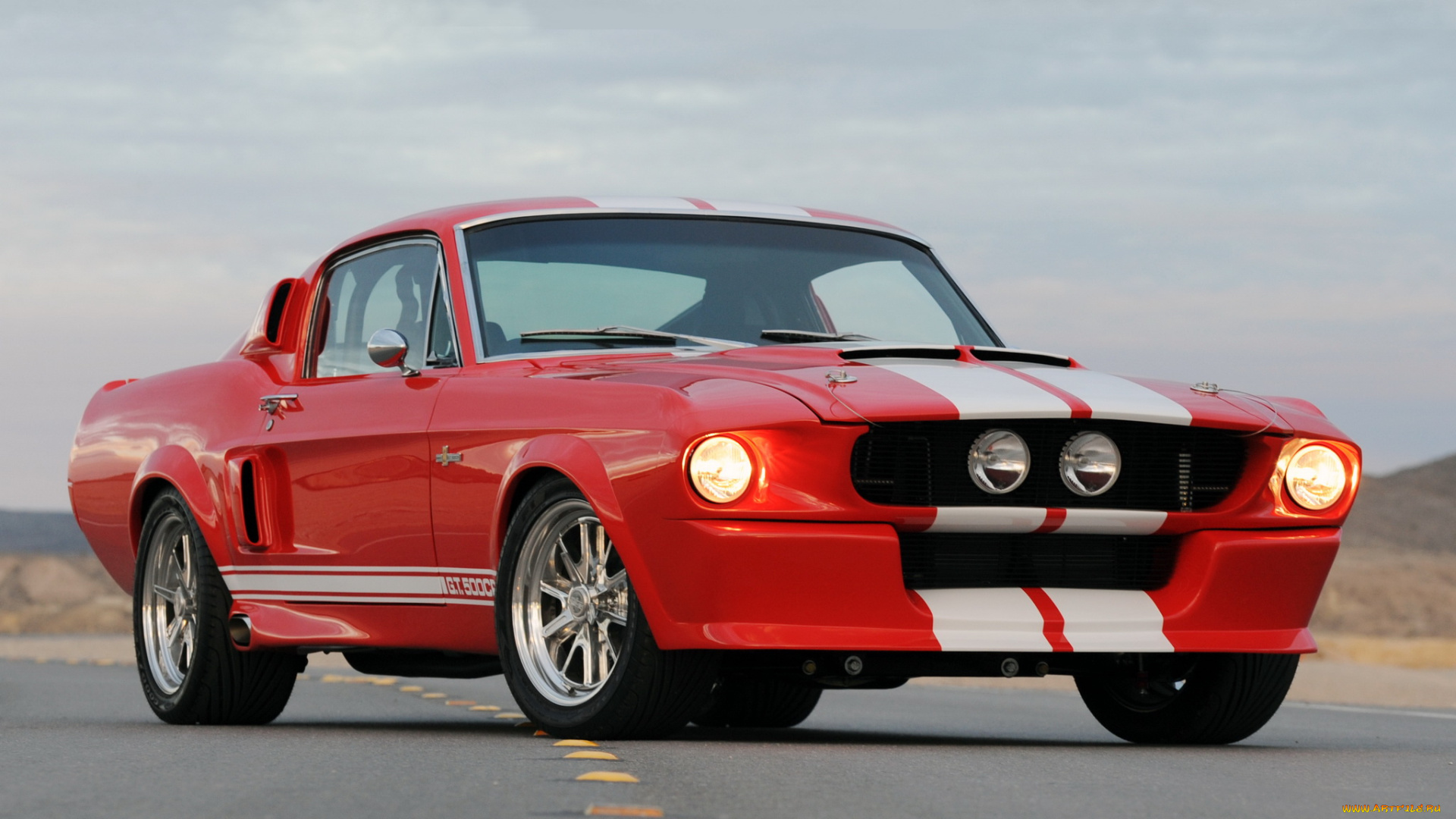 shelby, gt500cr, автомобили, mustang