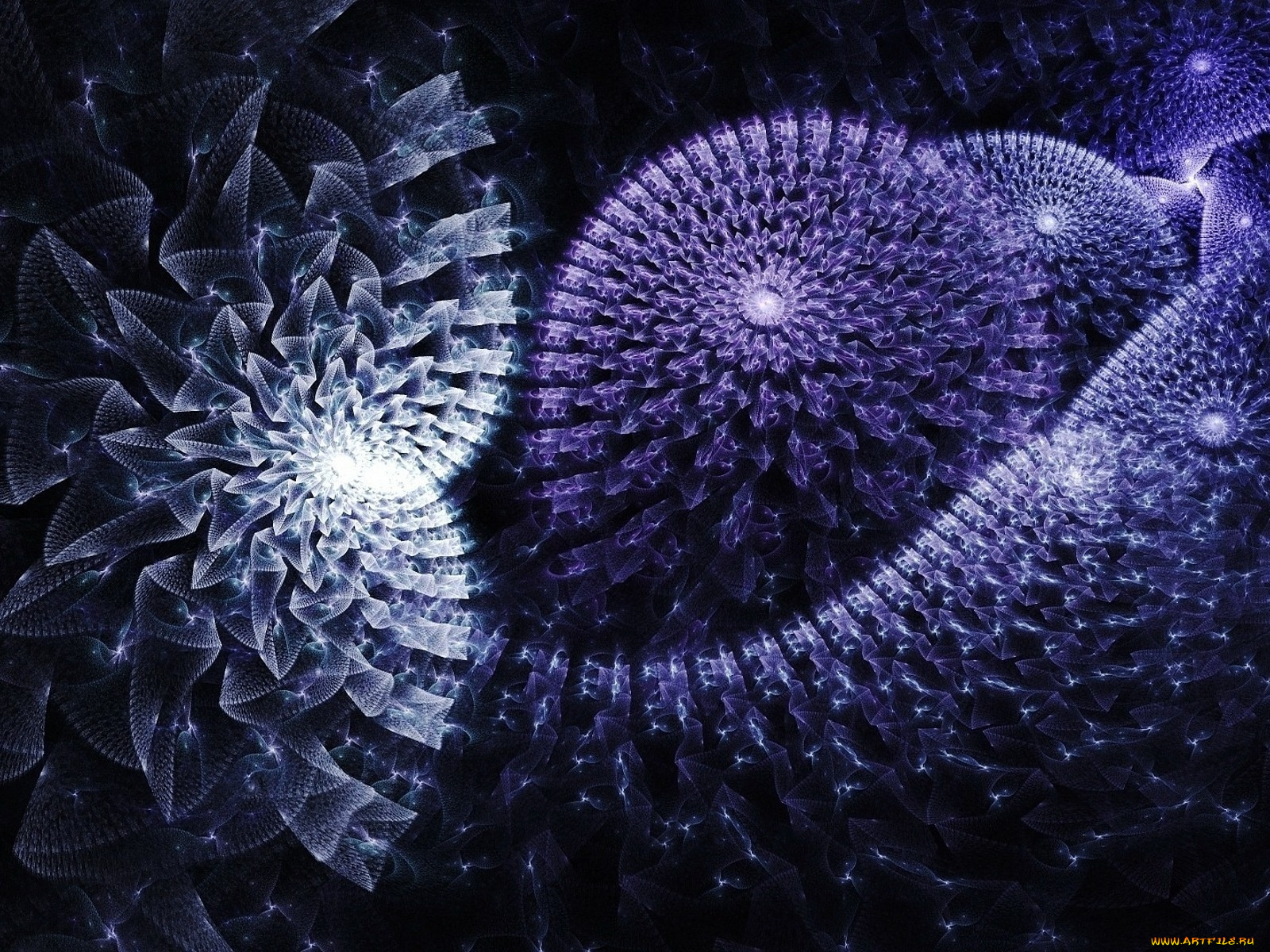 3д, графика, fractal, фракталы, фон, цвета, узор