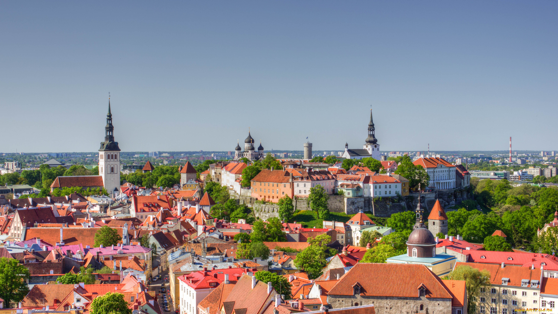 tallinn, estonia, города, таллин, эстония, панорама, старый, город