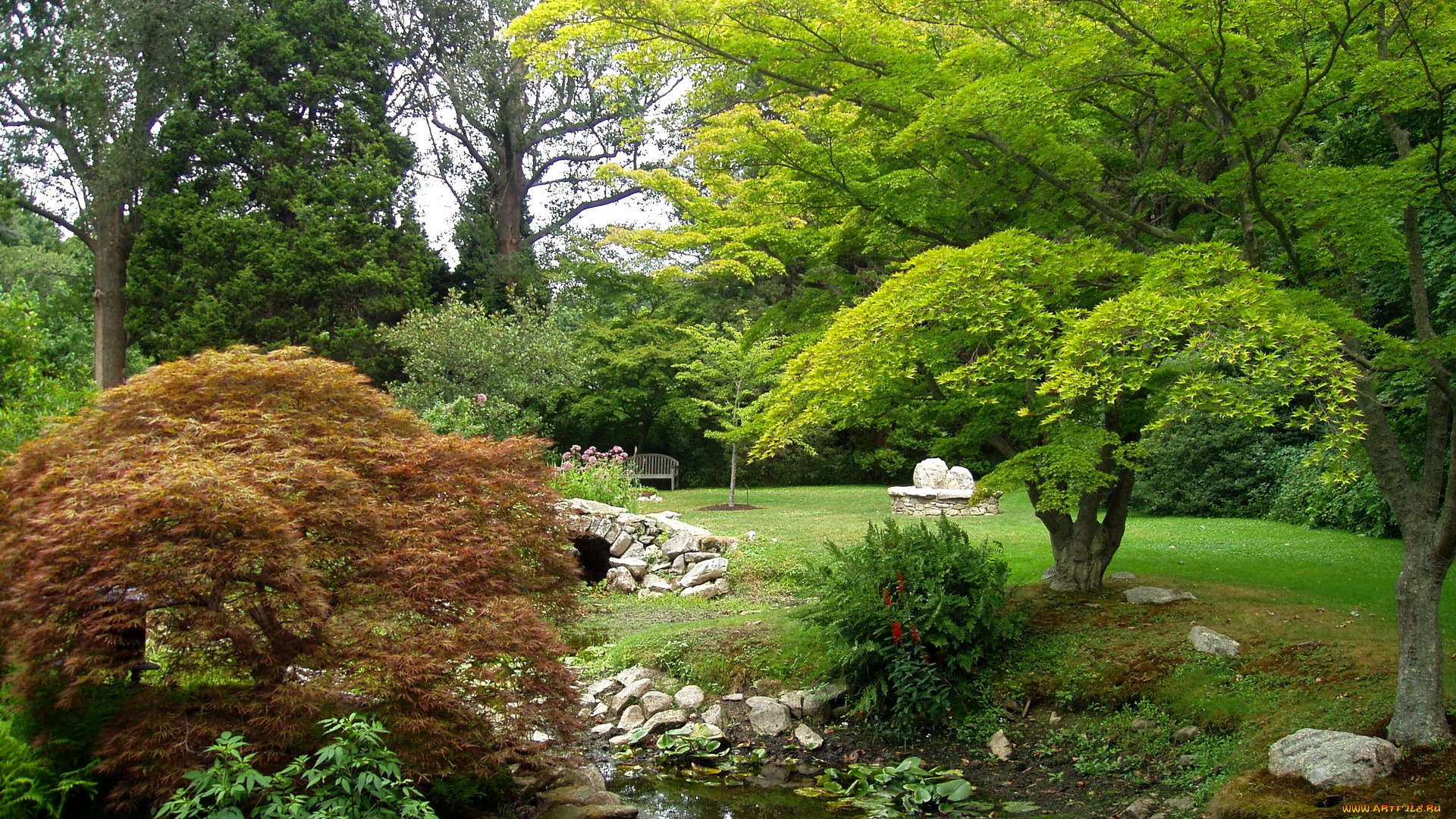 water, garden, особняк, blithewold, сша, природа, парк, сад, вода, деревья