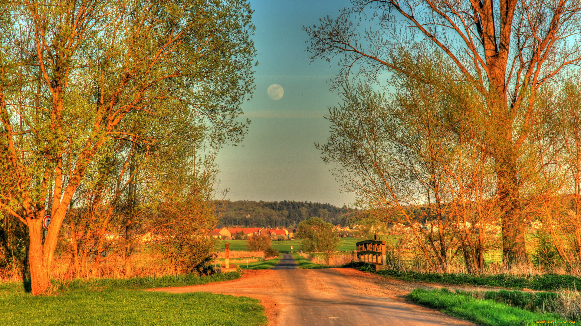 германия, хунген, города, пейзажи, пейзаж, растения, дома, деревья