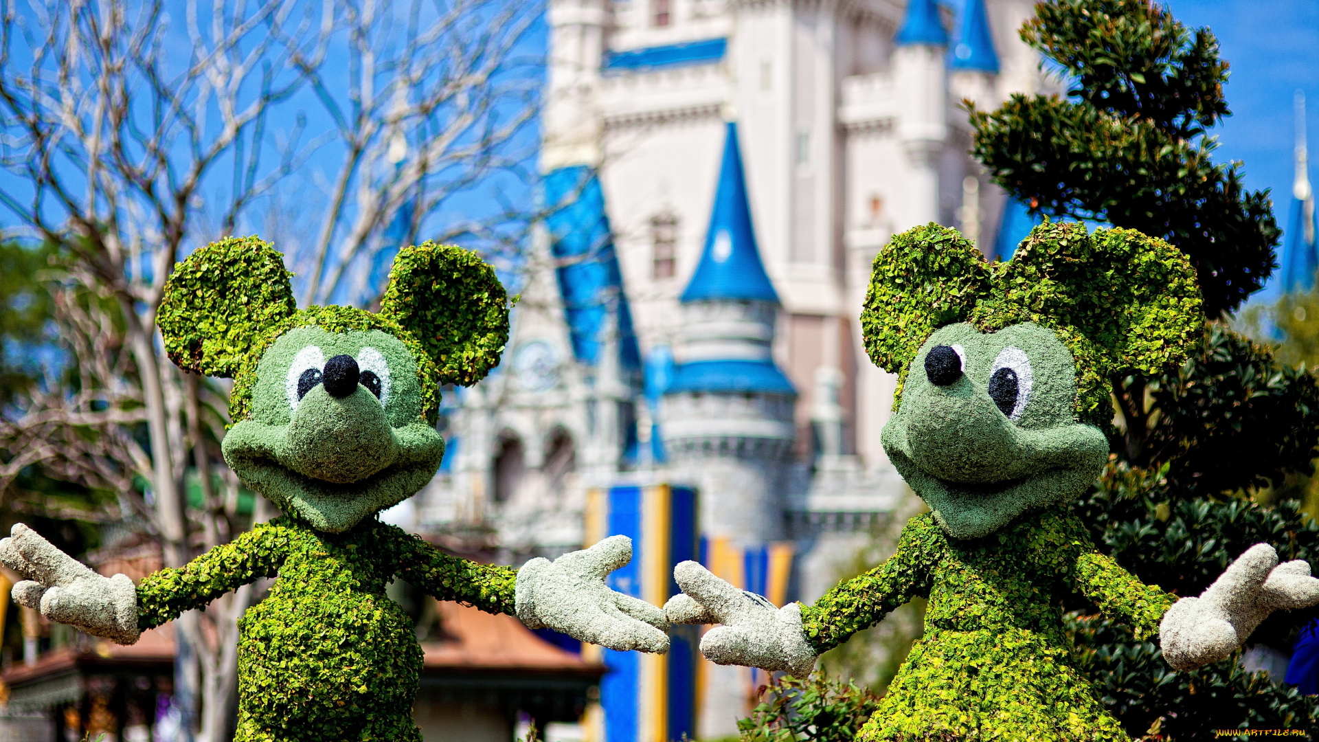 города, диснейленд, микки, маус, мини, америка, штат, флорида, фигуры, замок, сша