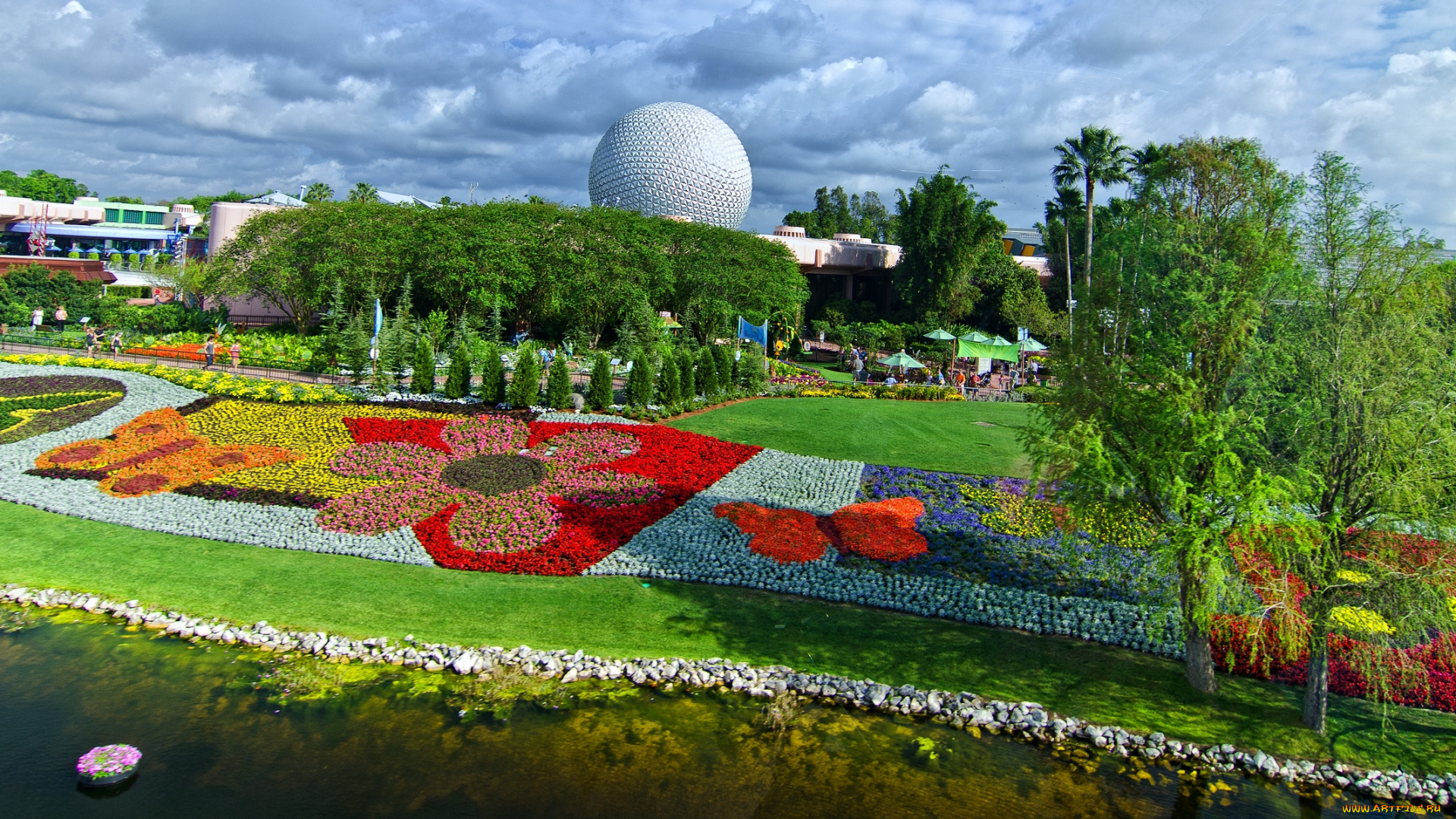 города, диснейленд, парк, цветы, клумбы
