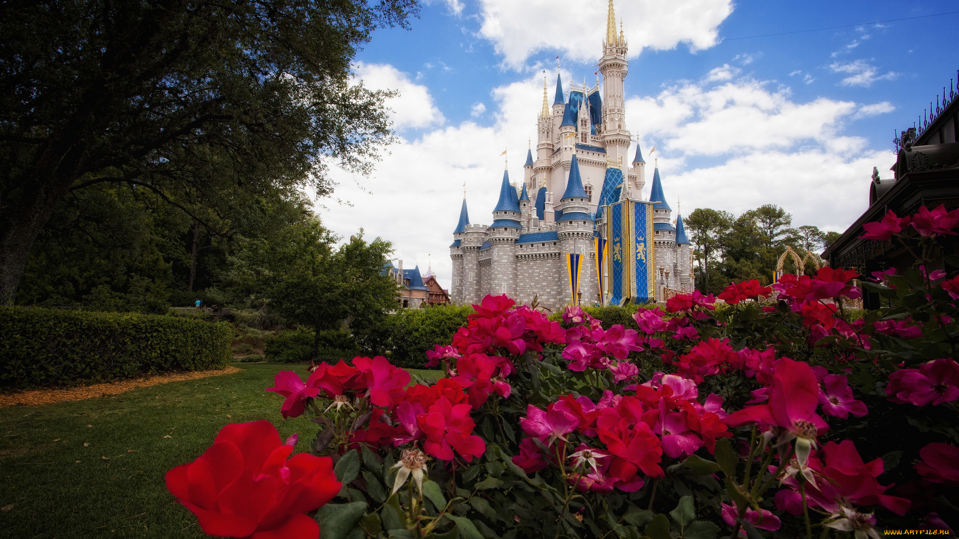 города, диснейленд, замок