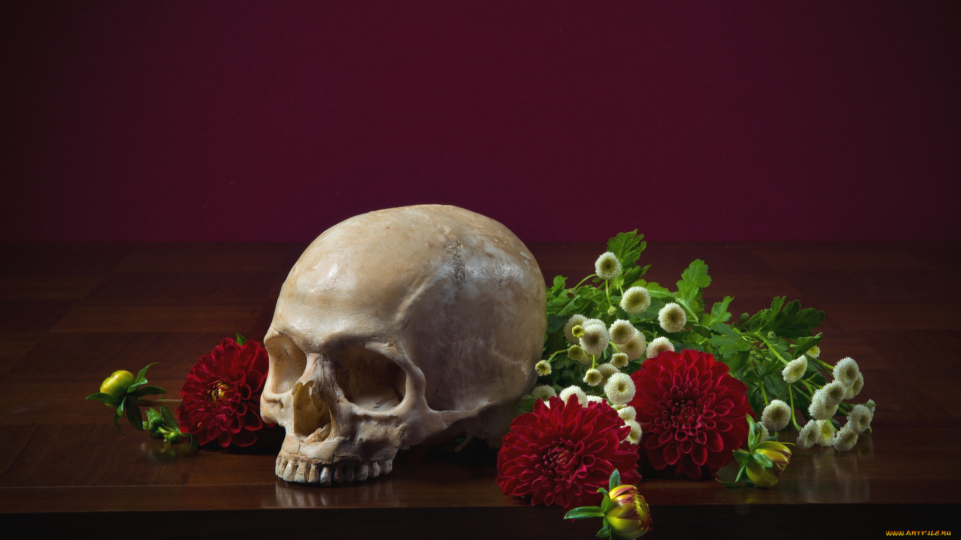 разное, кости, рентген, георгины, череп