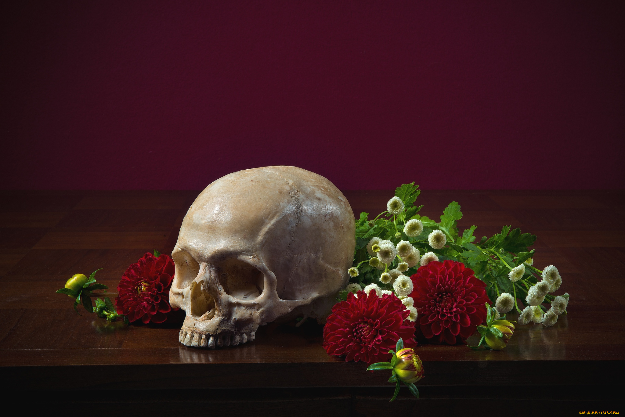 разное, кости, рентген, георгины, череп