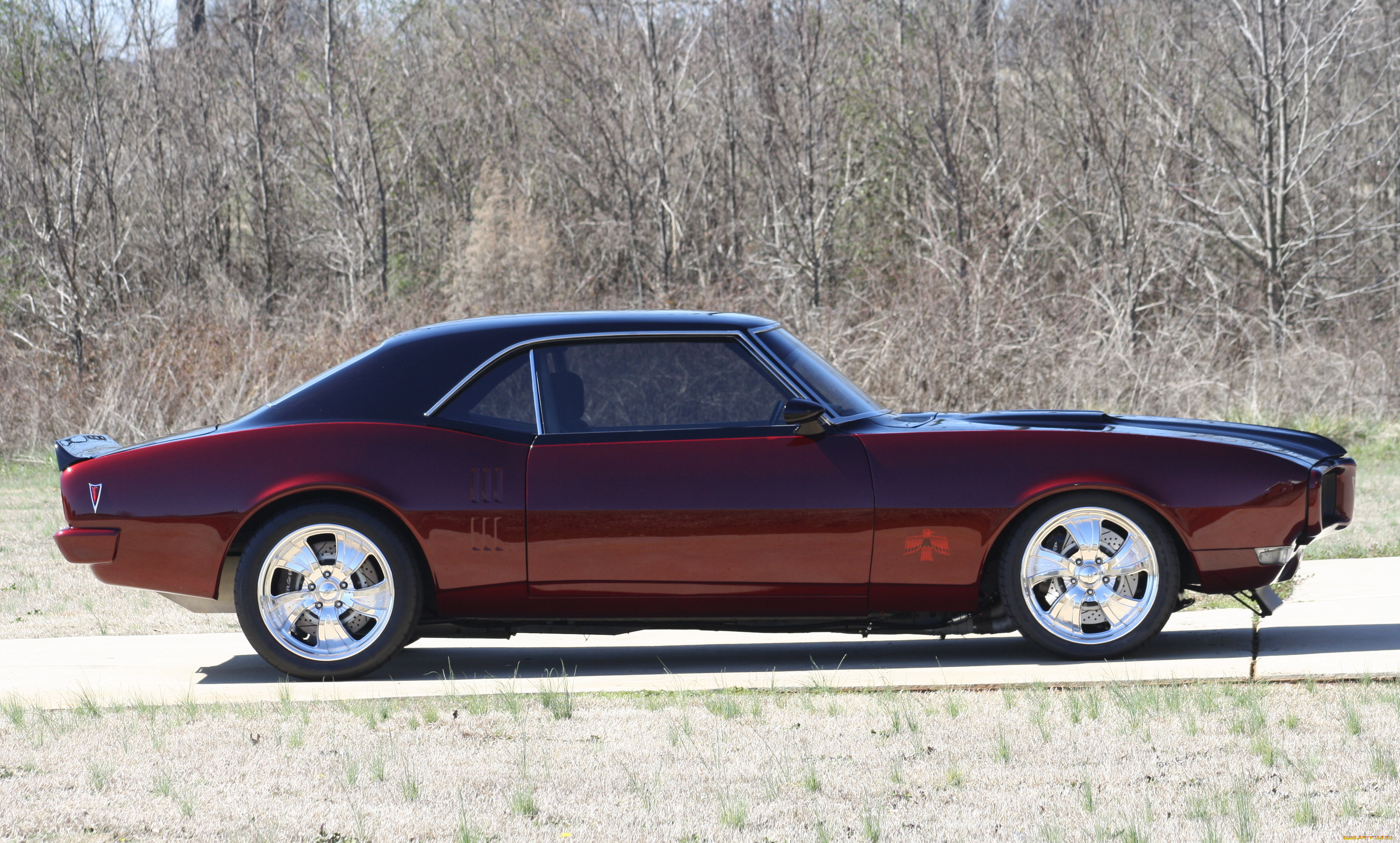 автомобили, camaro