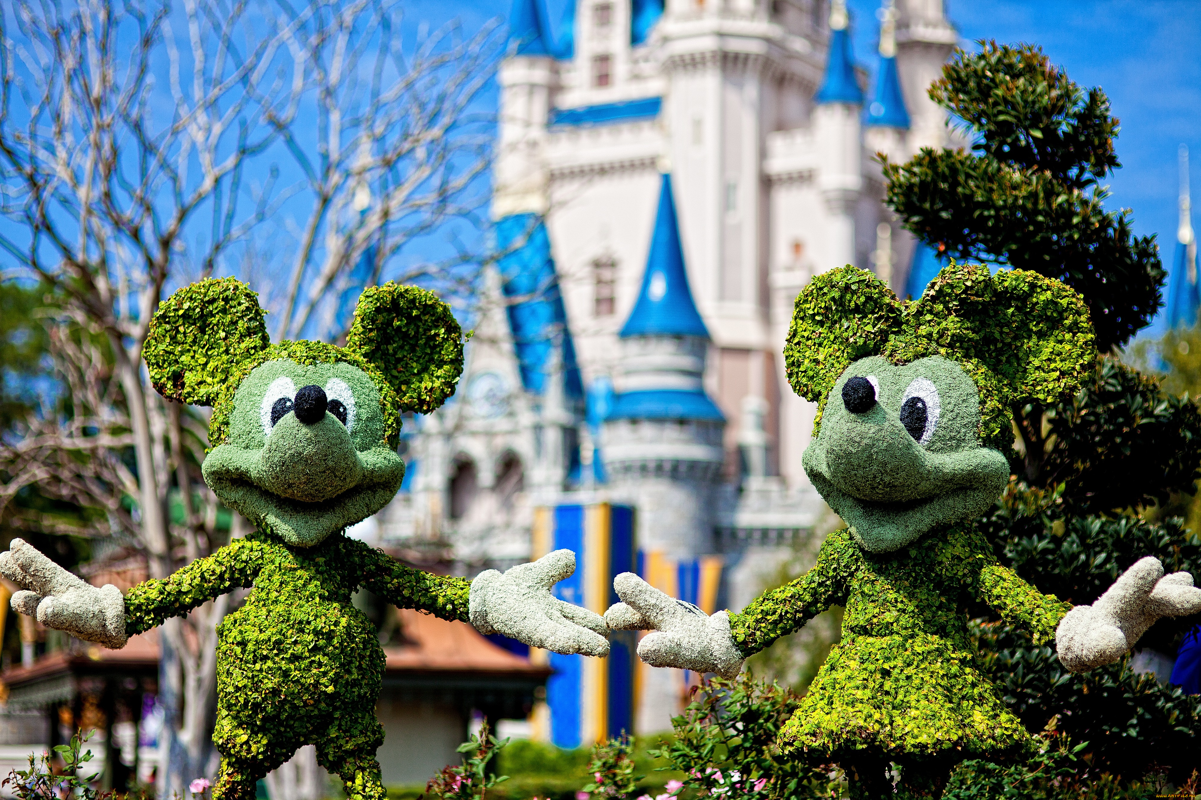 города, диснейленд, микки, маус, мини, америка, штат, флорида, фигуры, замок, сша