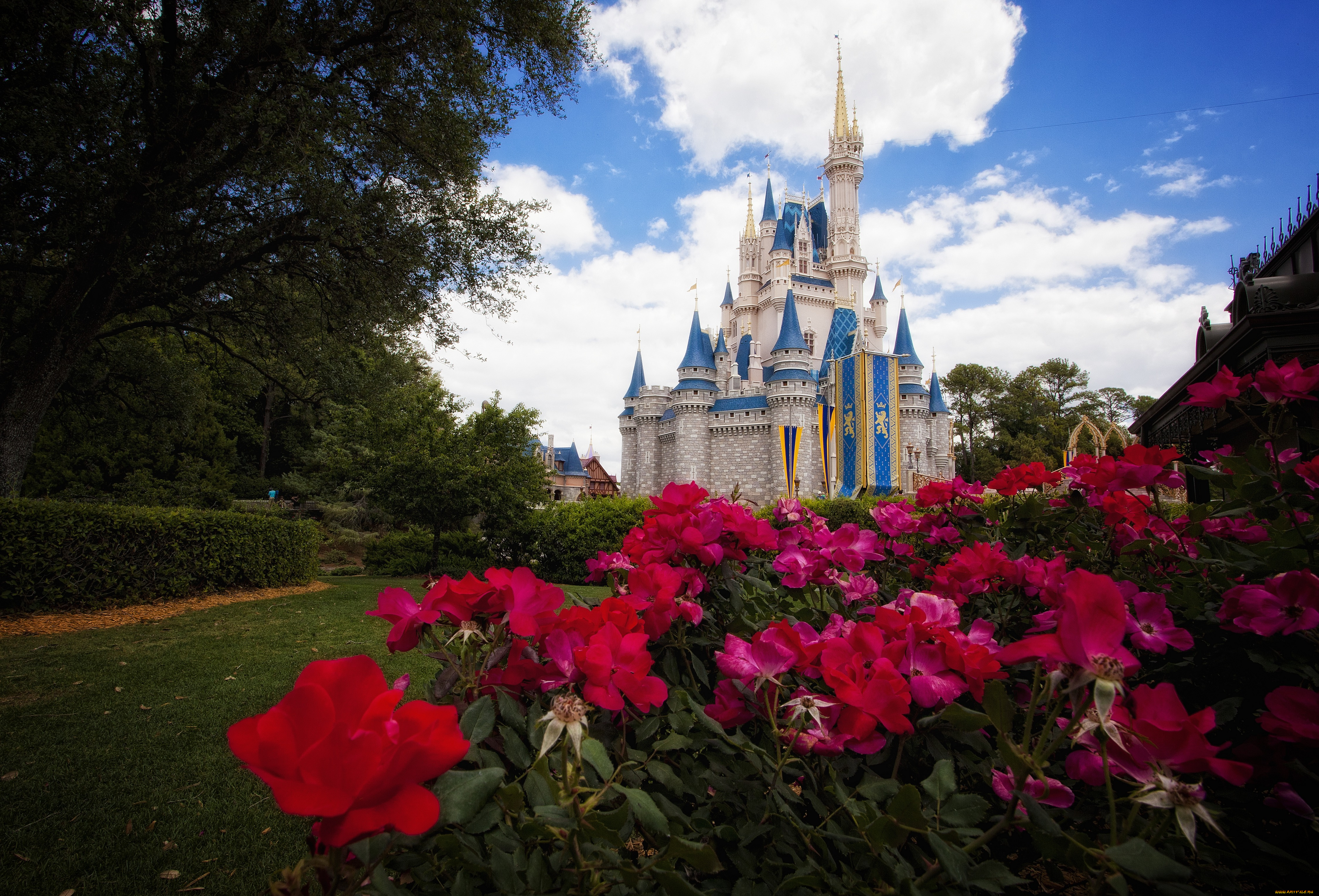 города, диснейленд, замок