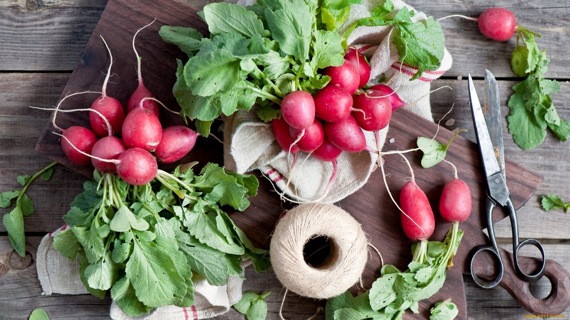 еда, редис, , репа, , редька, нитки, ножницы